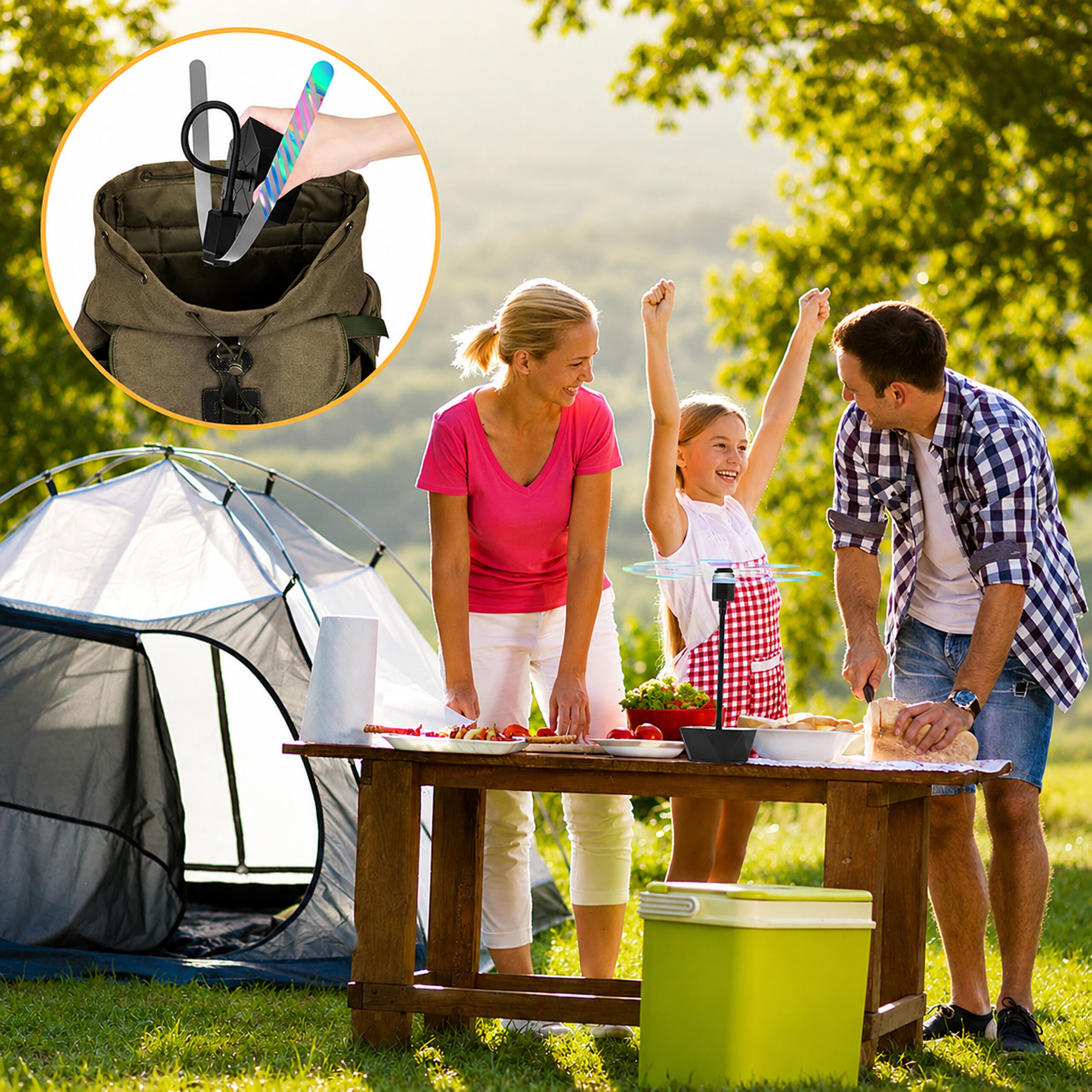 Portable Electric Mosquito and Fly Repellent Fan