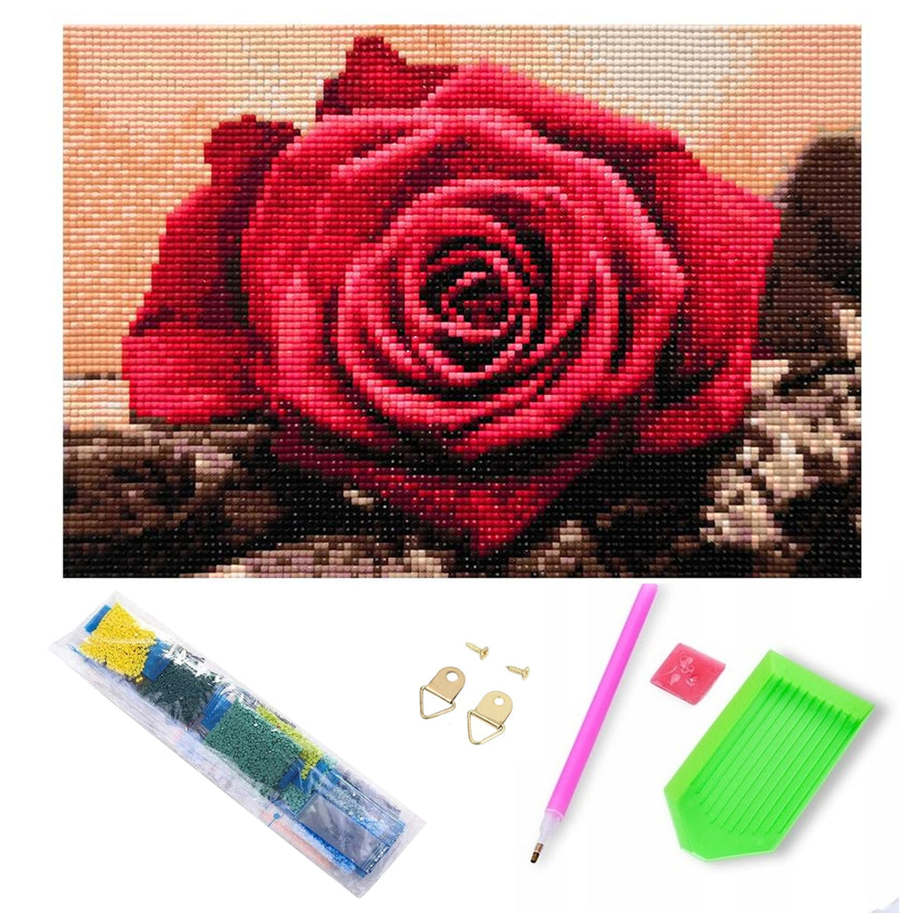 Diamond Painting 5D Mosaic Set with Canvas and Frame 20x30 cm