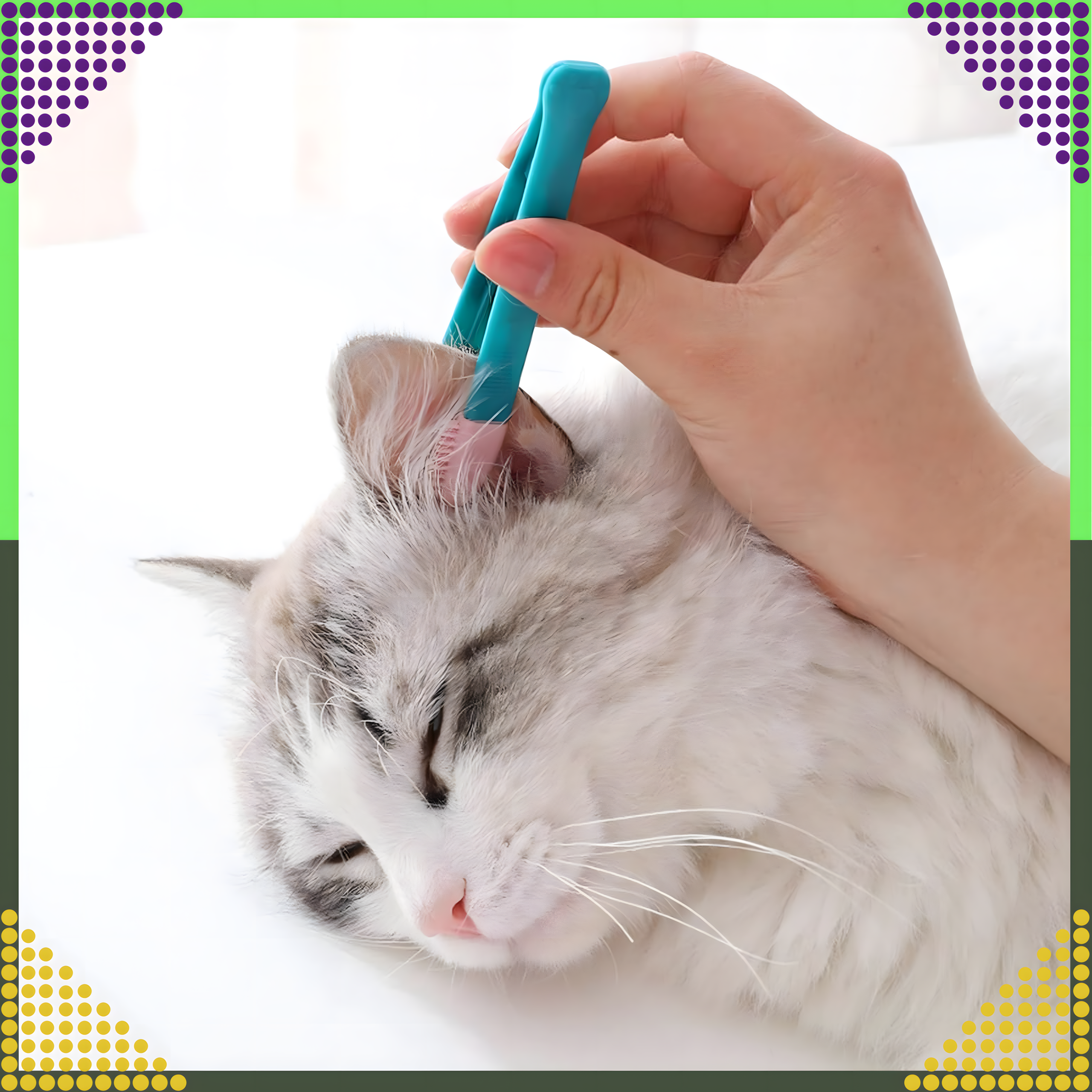 Lemmiklooma silmade hoolduskamm mädaste eritiste ja pisarate eemaldamiseks koertele ja kassidele