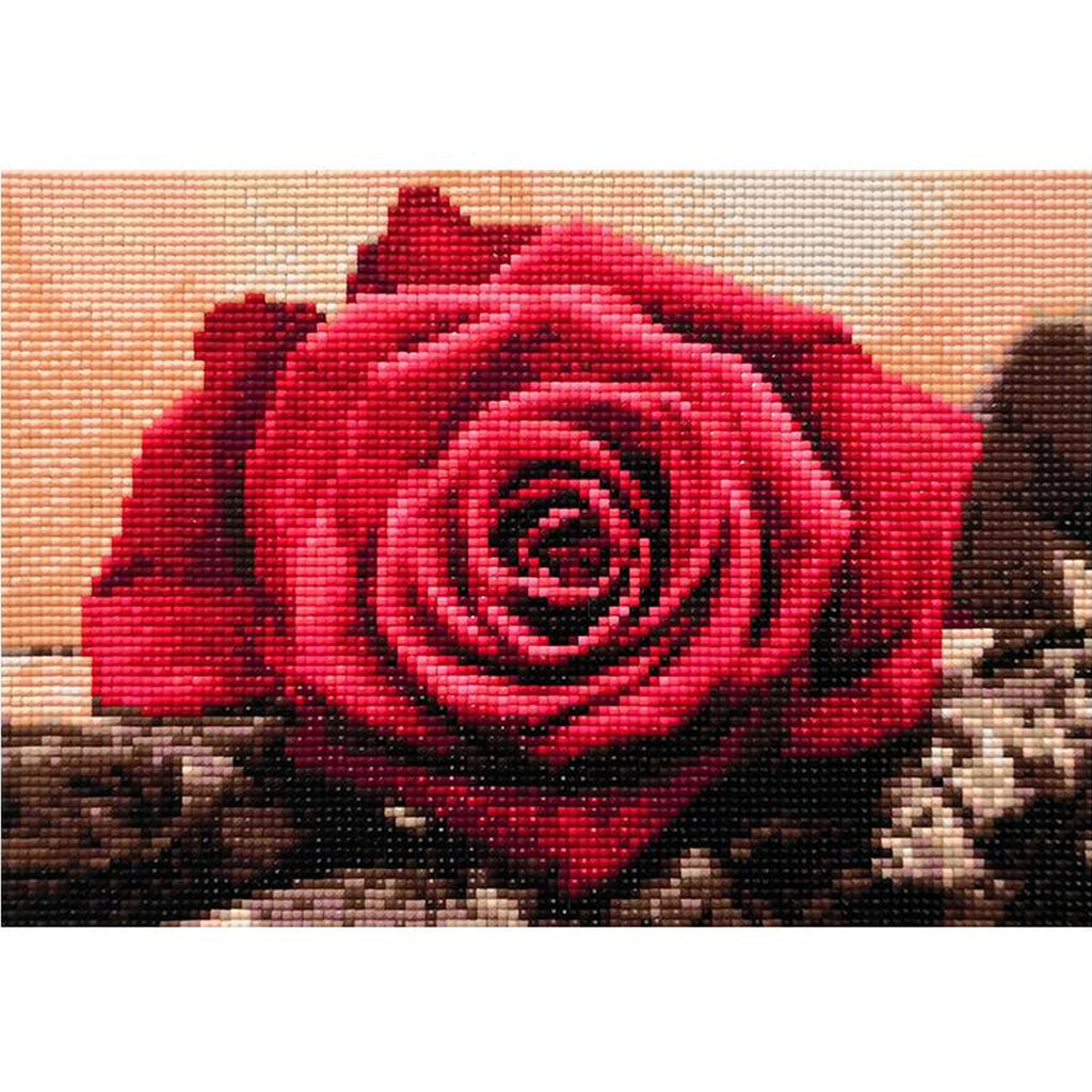Diamond Painting 5D Mosaic Set with Canvas and Frame 20x30 cm