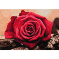 Diamond Painting 5D Mosaic Set with Canvas and Frame 20x30 cm