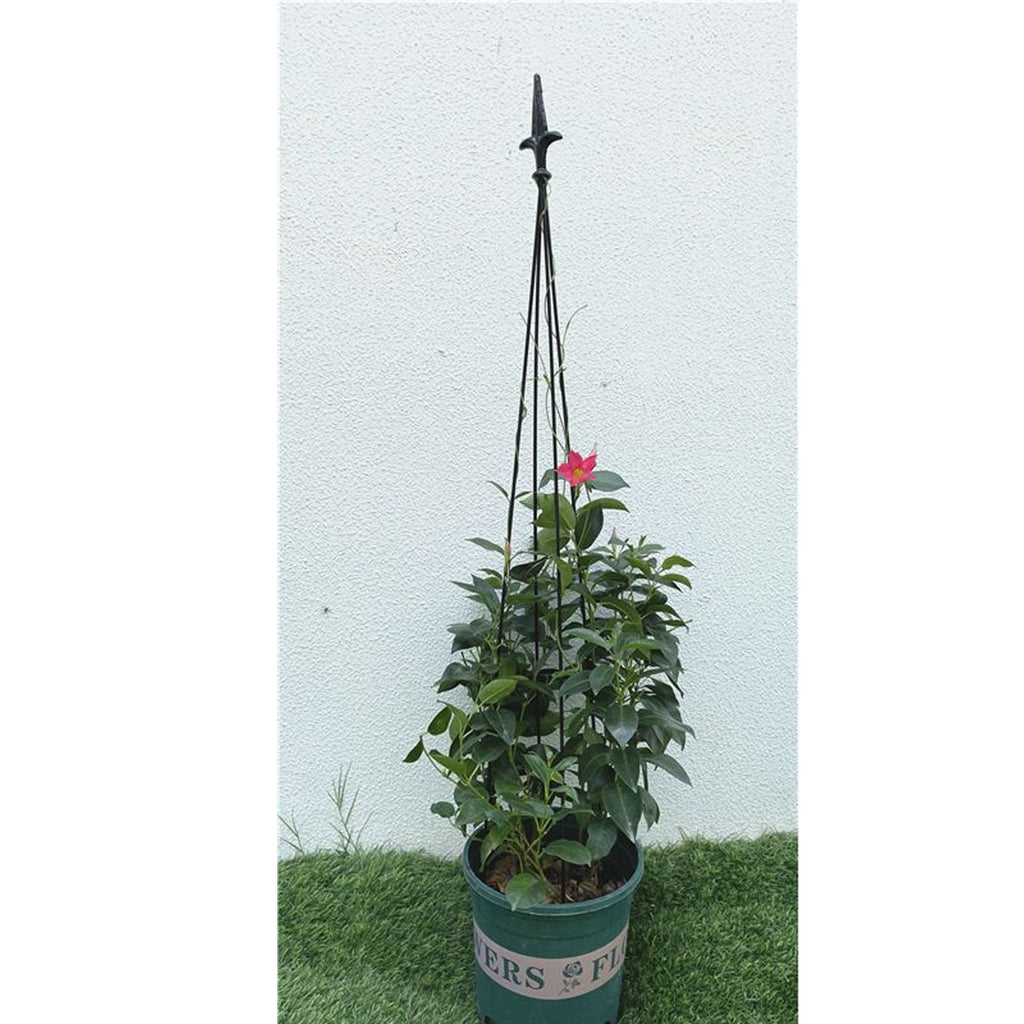 Pergola tugiraam terrassile, metallist lillede ja taimede alus, 150 cm