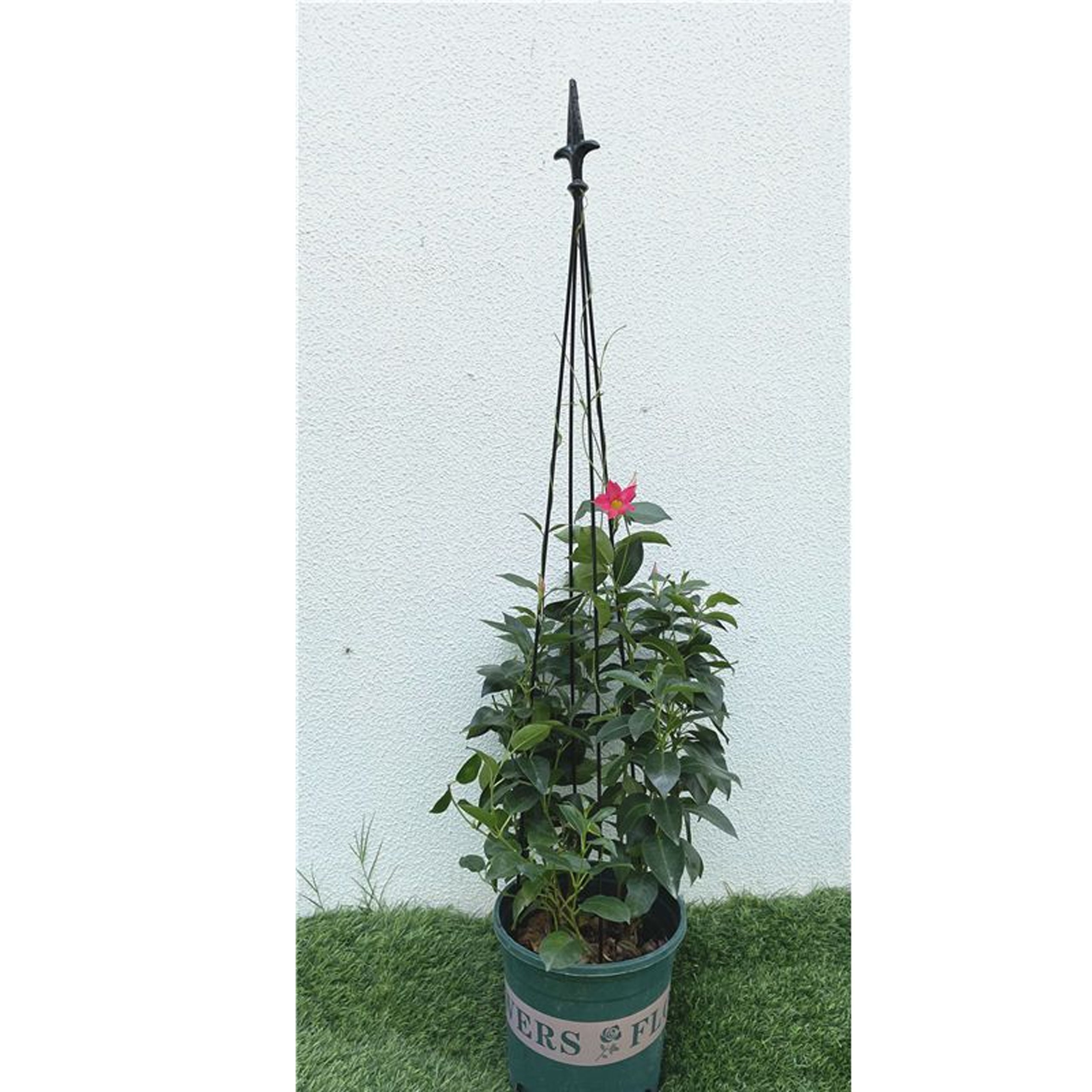 Pergola tugiraam terrassile, metallist lillede ja taimede alus, 150 cm