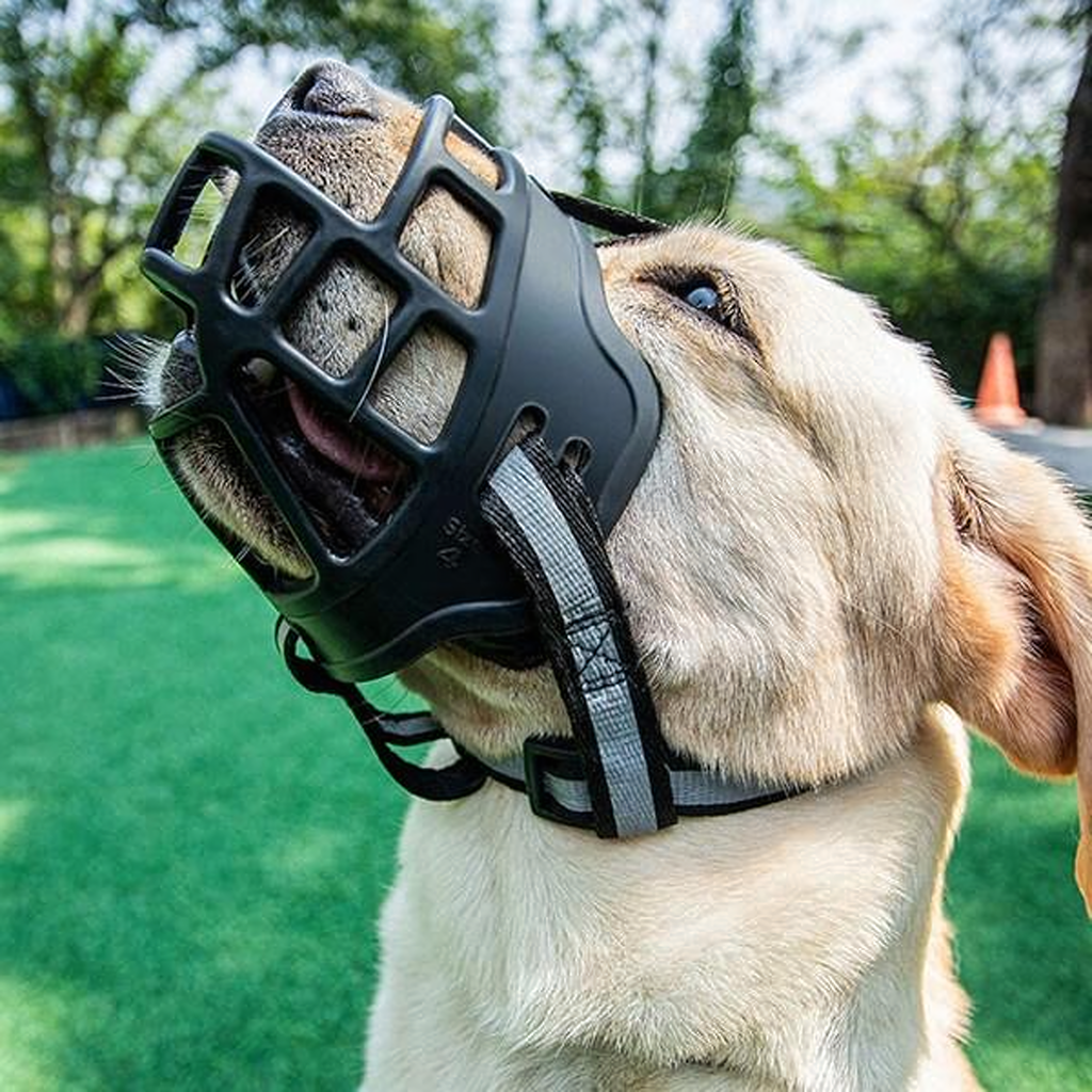 Füsioloogiline koeramuser kummist reguleeritav helkiv pehme 31-35 cm