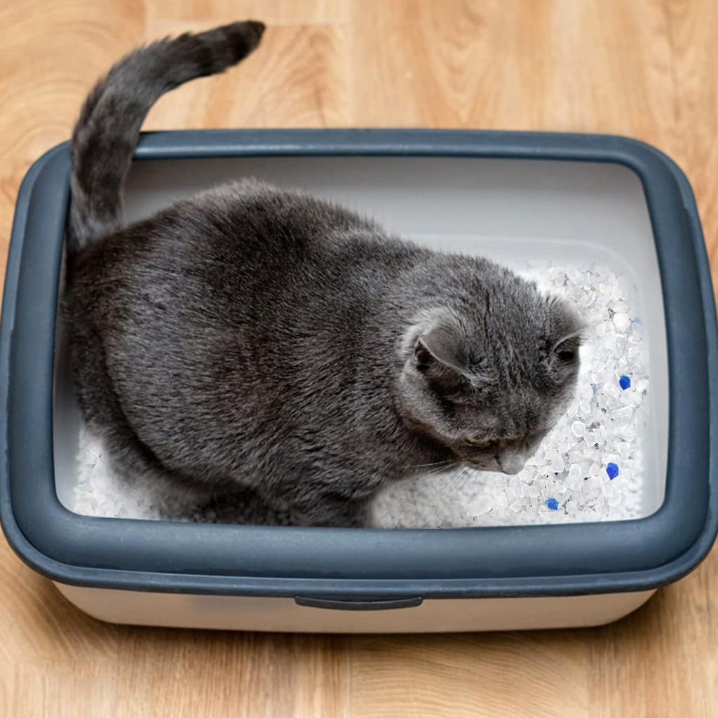 504x Silikoonist kassiliiv liivakastile 1.5 kg Paakumatu, tolmuvaba, tõhus