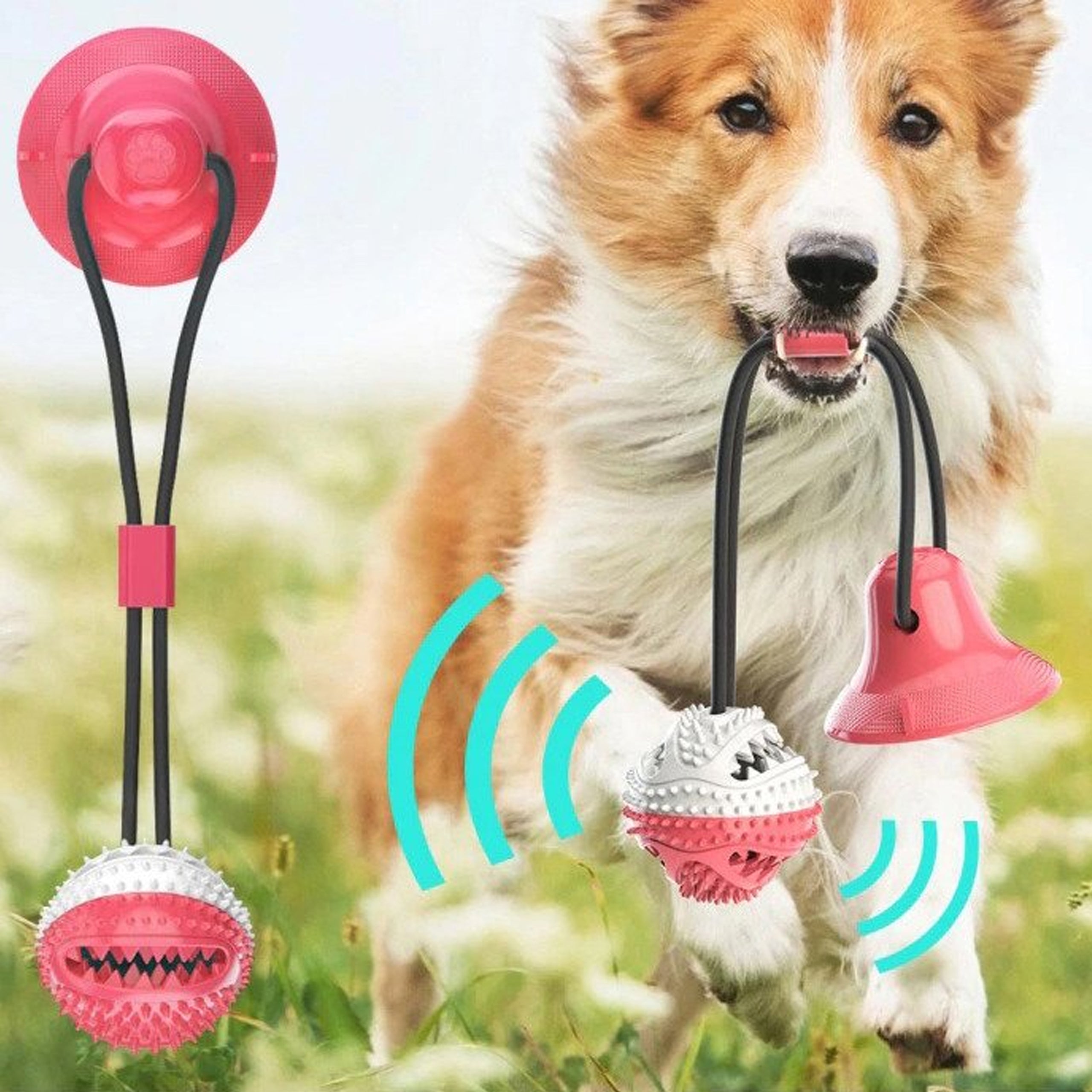 Mänguasi maiuse jaoks, interaktiivne koeratoit, pall iminapaga, närimislelu