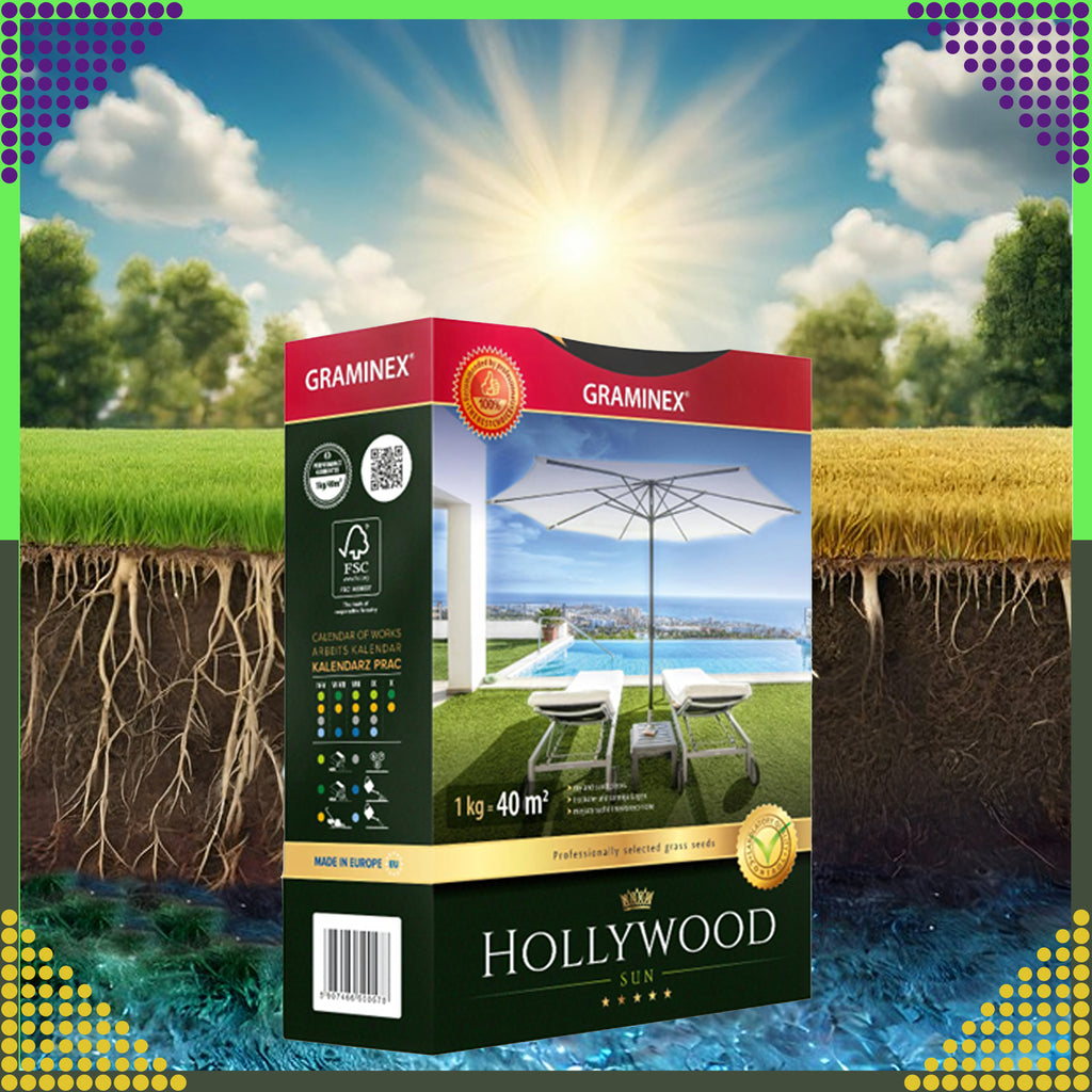 Premium Grass Seed Mix HOLLYWOOD 1kg for Sunny Dry Areas
