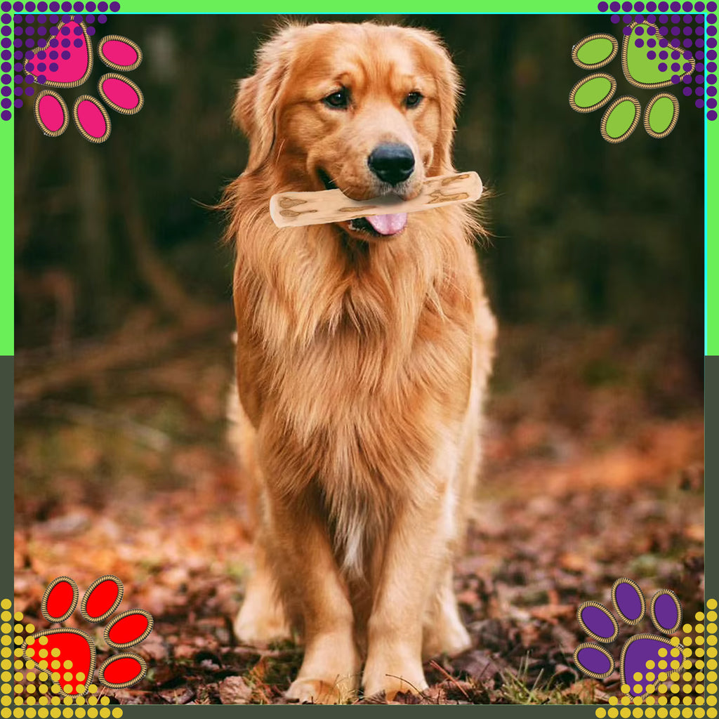 Puidust närimisleluga loomulik koertele, vastupidav mänguasi 24x3cm