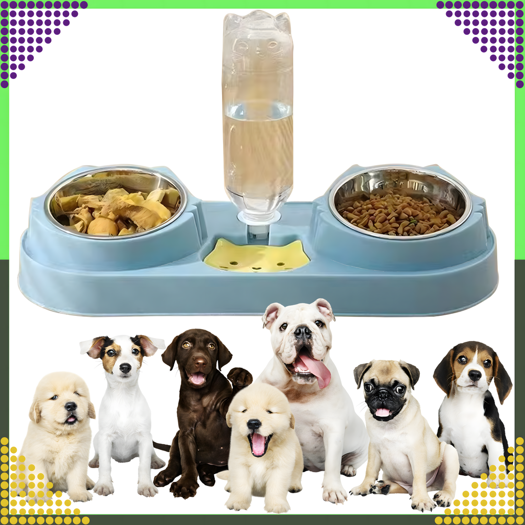 Kahe kausiga koera ja kassi vee- ning toidukauss veedosaatoriga