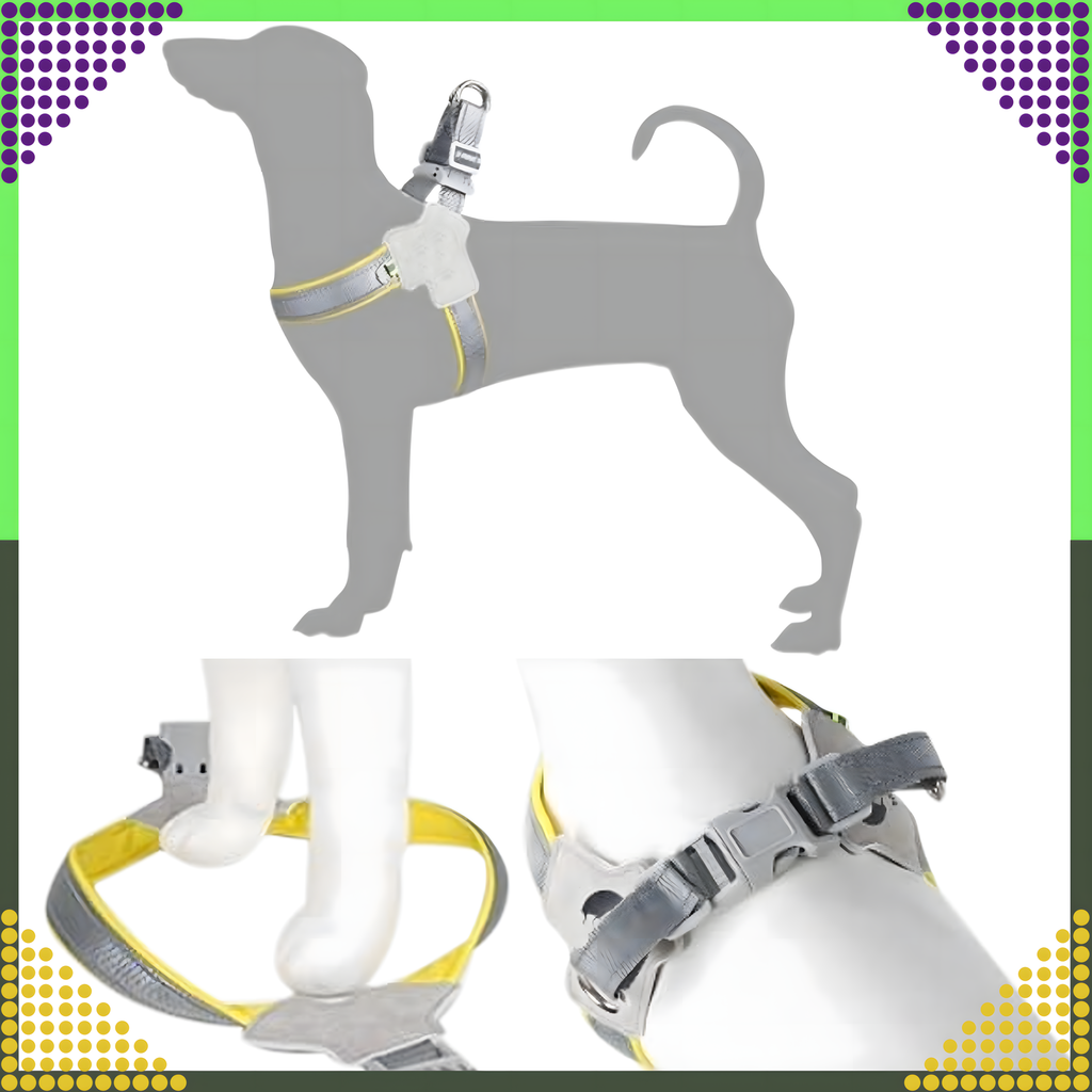 Tugevad, survevabad traksid, jalutusrihm väikestele koertele ja kassidele, suurus: S