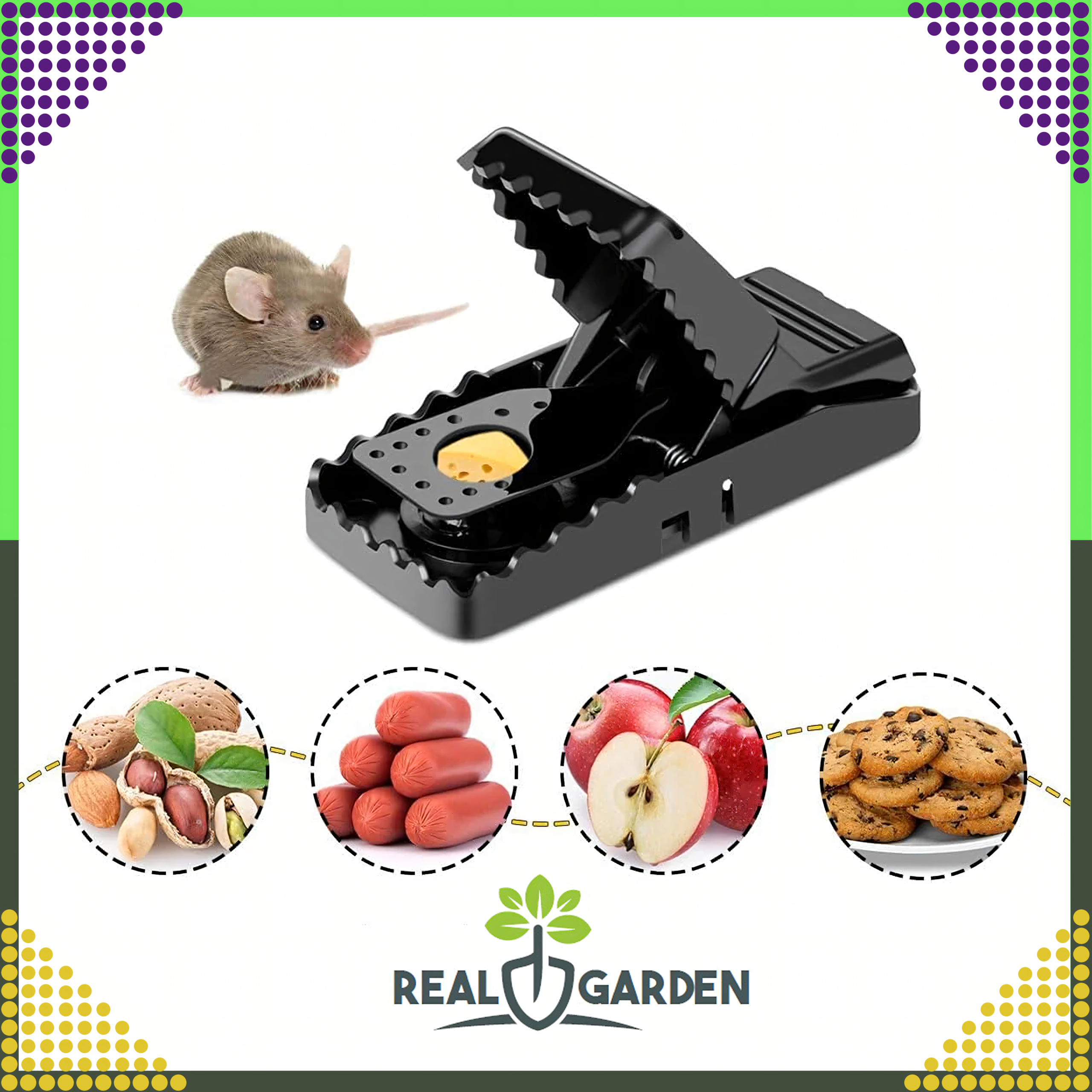 4x Mouse and Rat Trap Guillotine for Rodents