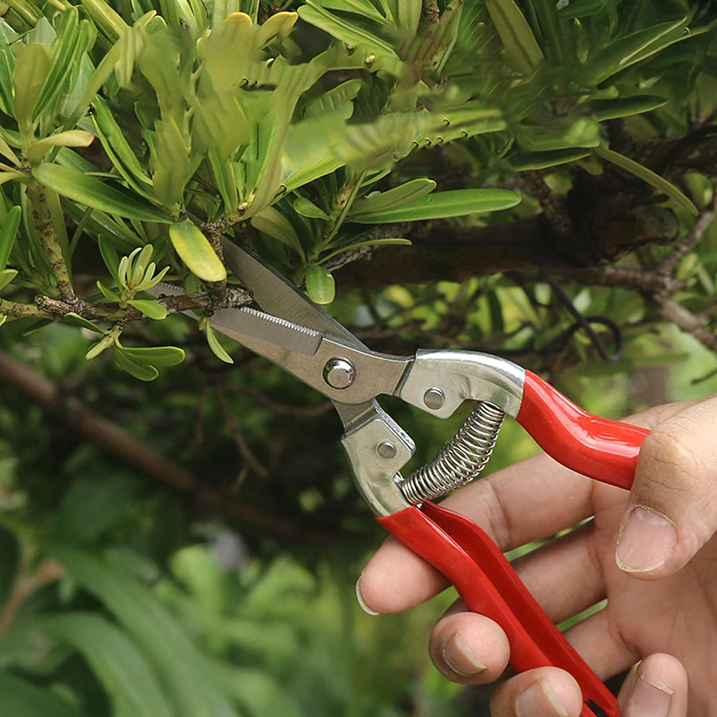Single-Handed Garden Pruning Shears for Shrubs and Branches