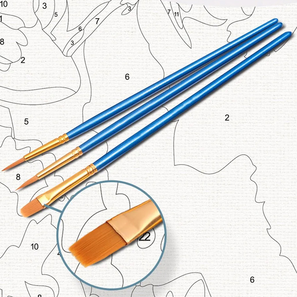 Numbrite järgi maalimise lõuend raamiga, isetegemise komplekt, pintslid, värvid, 30x40