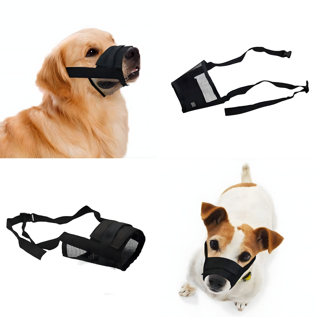 Kangast koeramuser koos võrguga, füsioloogiline, ohutu nailon, M 10-12 cm