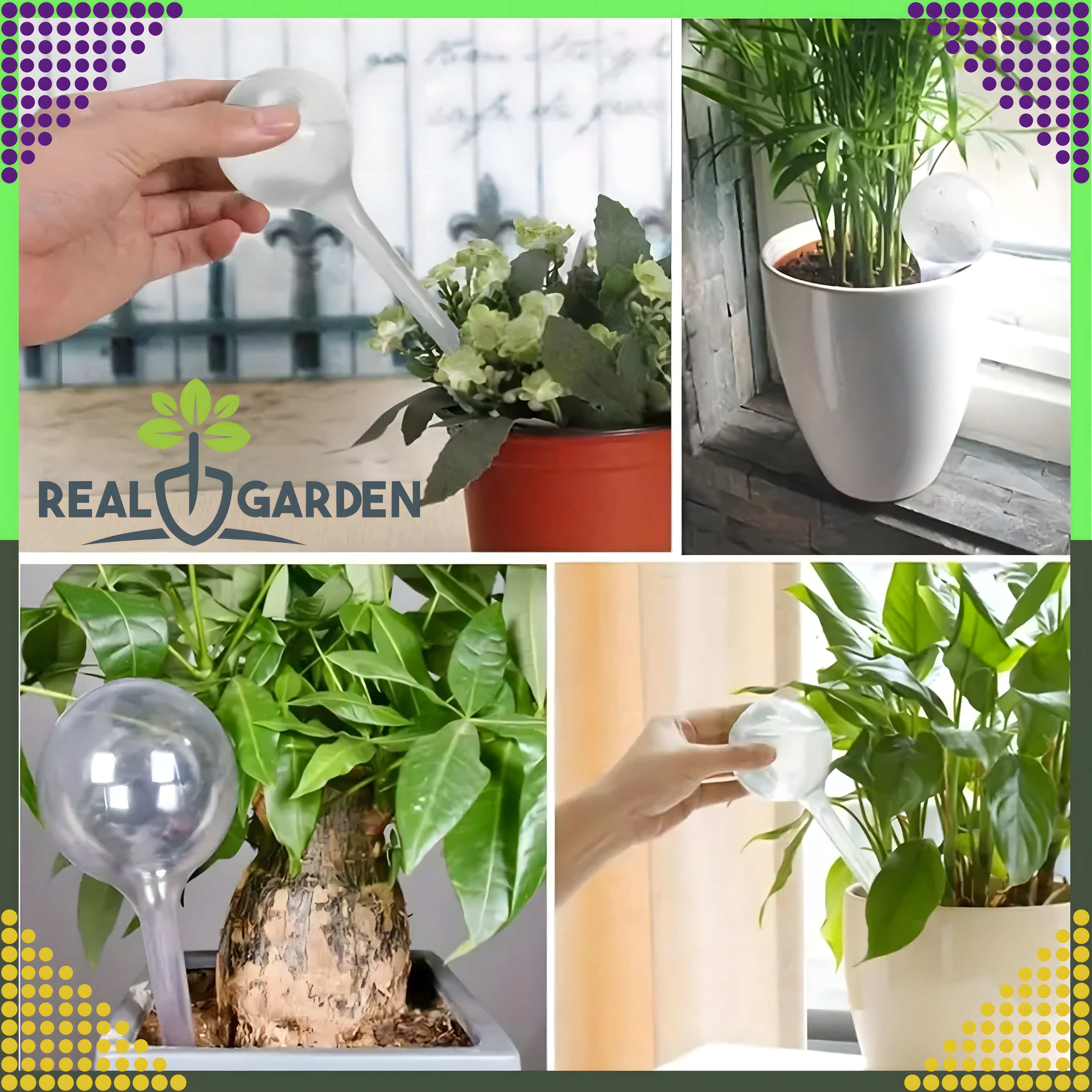 8 x Flower Watering Balls Plant Irrigator Water Dispenser Set