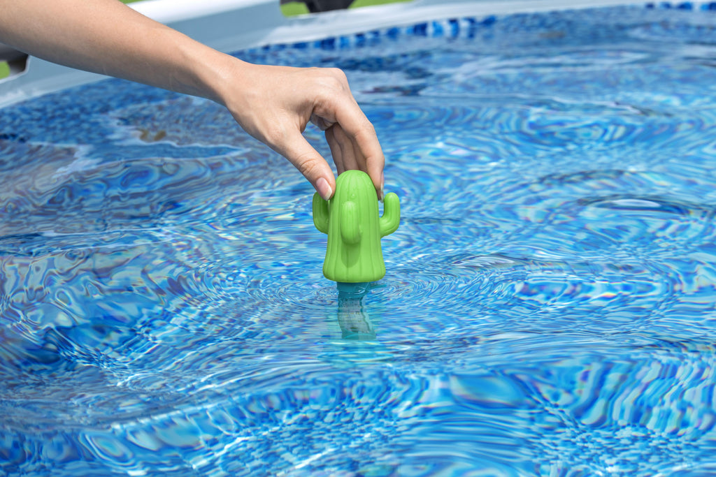 Bestway 58763 Ujuv termomeeter basseini ja mullivanni jaoks, dekoratiivne kaktus