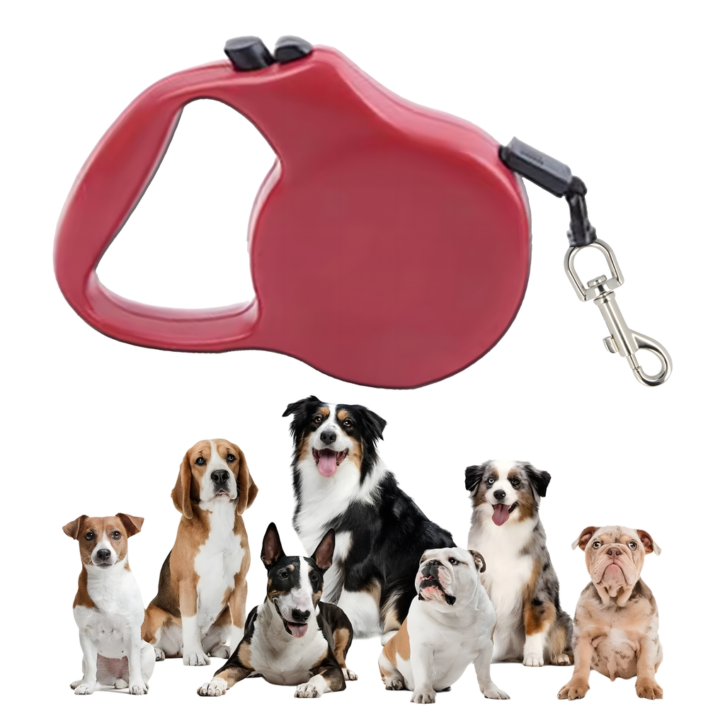 Strong Lightweight Retractable Tape Leash for Dog and Cat with Automatic Lock 5m
