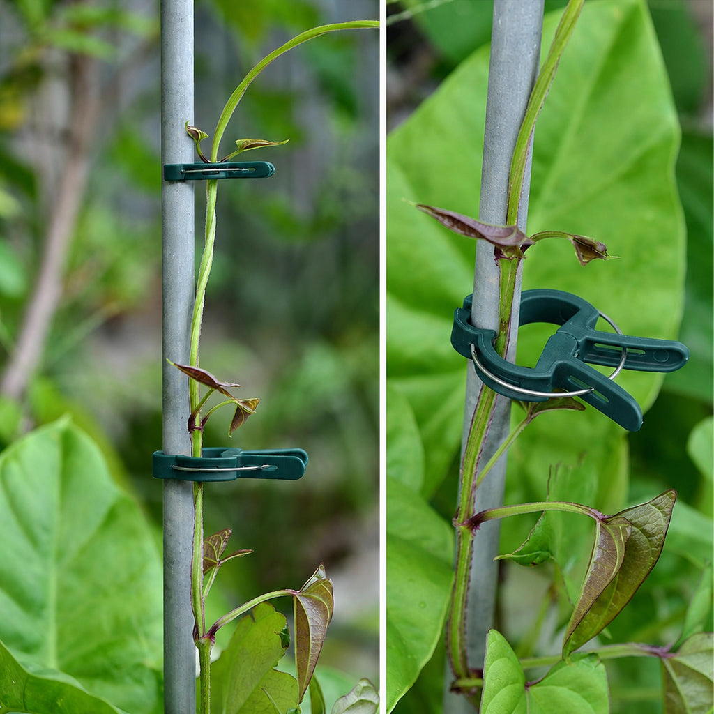 Tomatitaimede tugiklambrid 20 tk