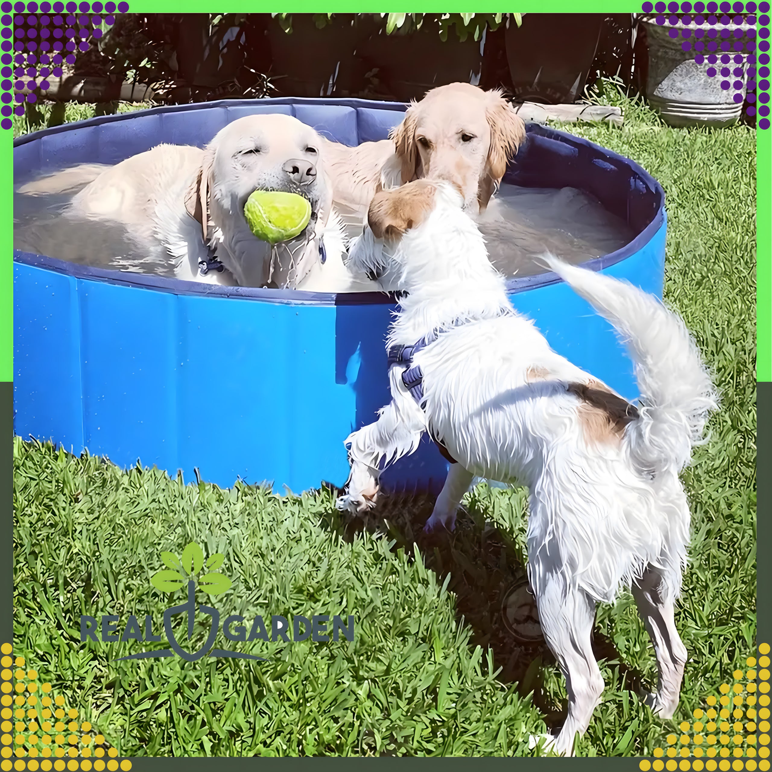 Tugev aiandusloomade ujumisbassein jahutamiseks ja pesemiseks, kokkupandav, 60x20cm