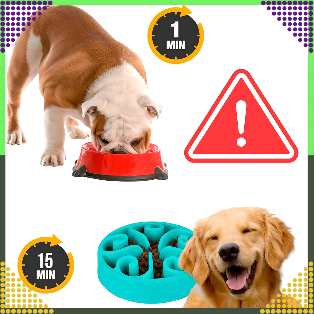 Toidu aeglustav kauss koerale, kassile ja teistele loomadele, suur, vaheseintega