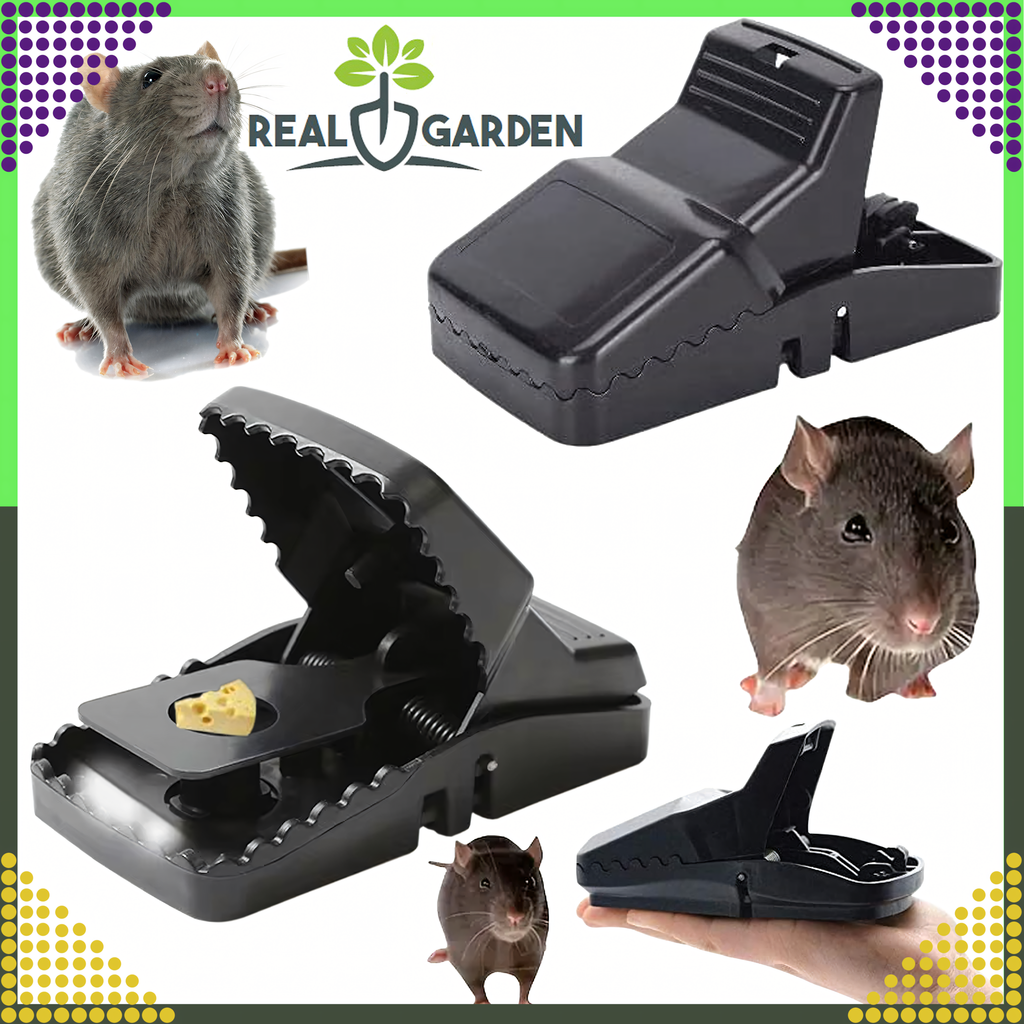 4x Mouse and Rat Trap Guillotine for Rodents