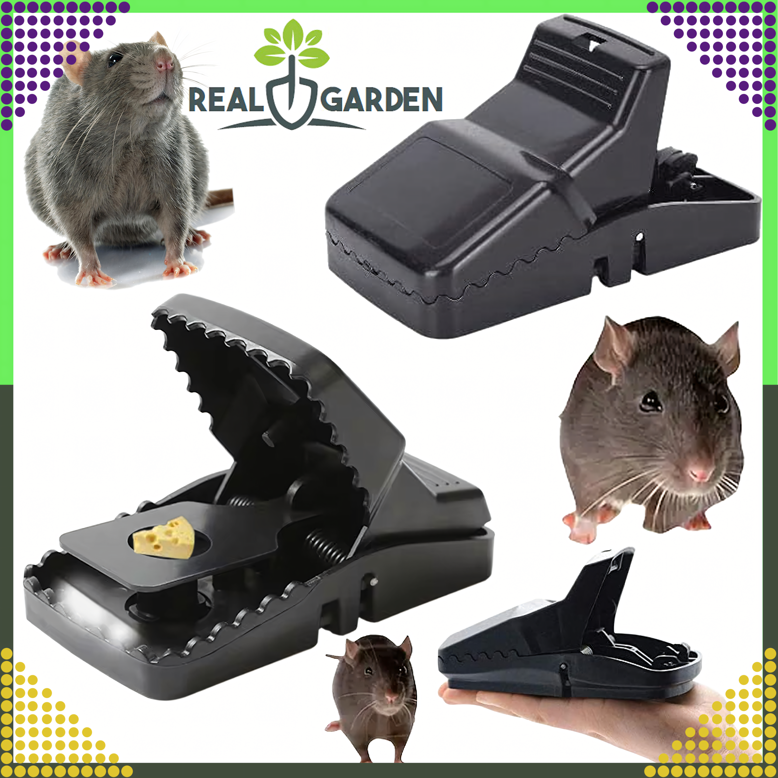 4x Mouse and Rat Trap Guillotine for Rodents