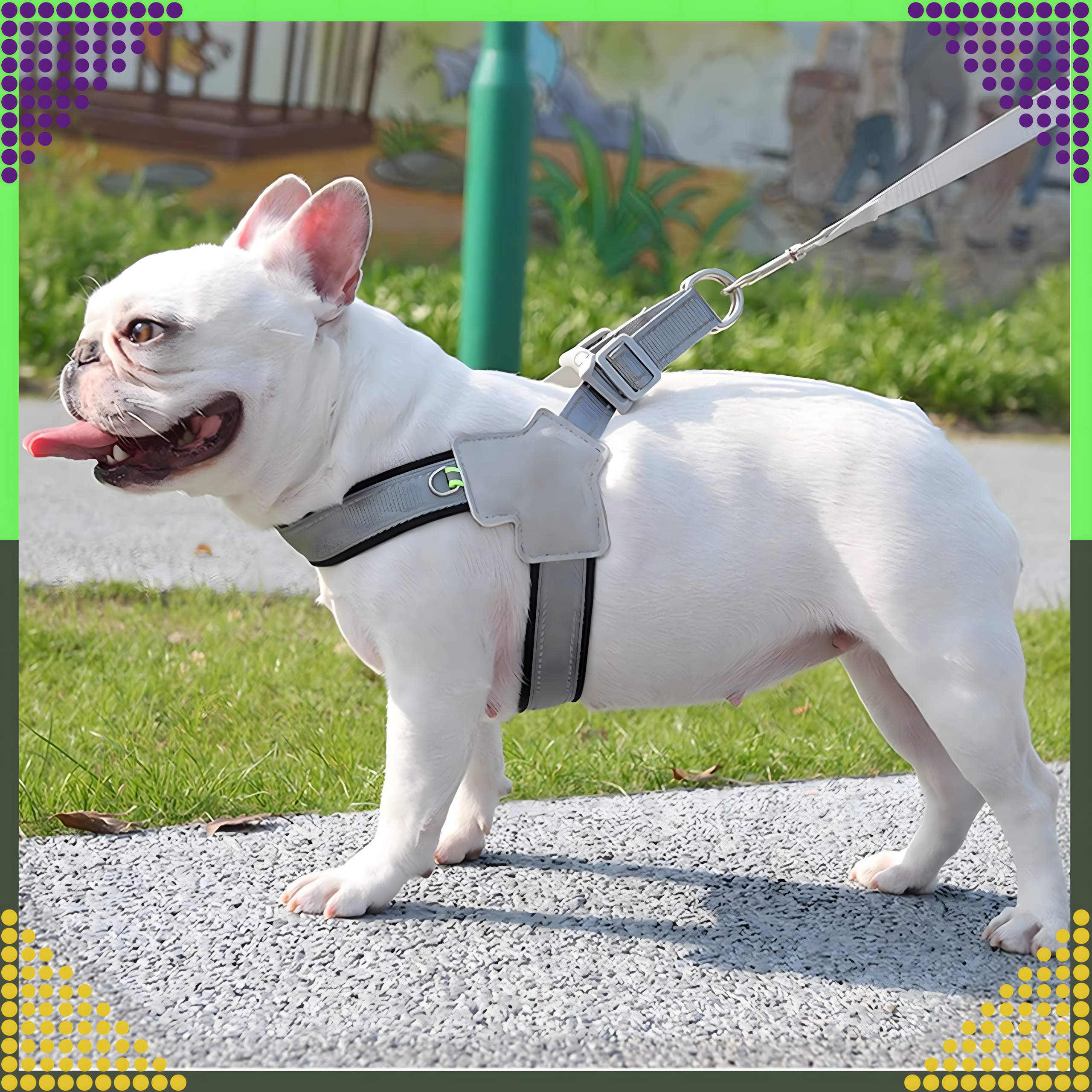 Tugevad, survevabad traksid, jalutusrihm väikestele koertele ja kassidele, suurus: M