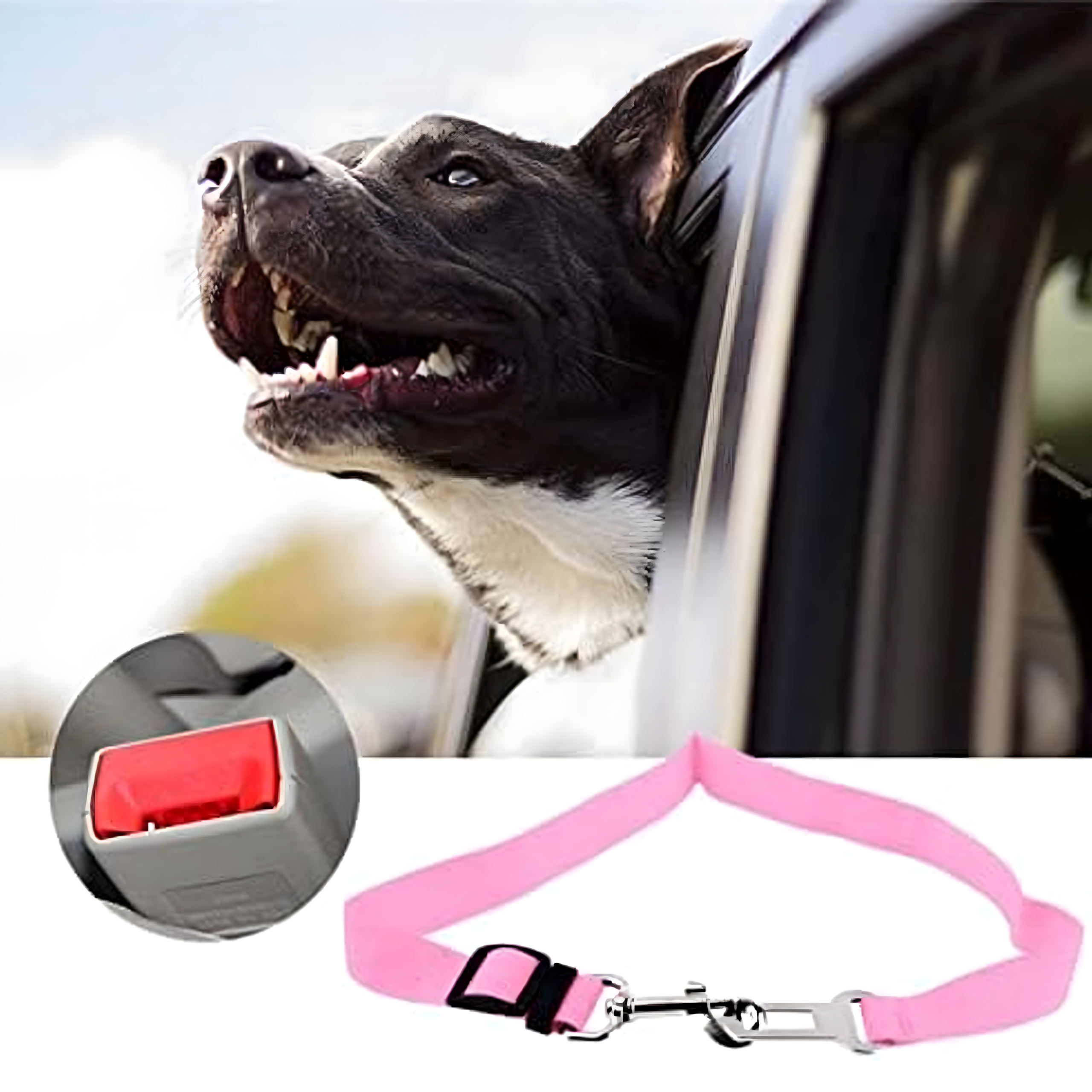 Turvavöö koertele ja kassidele autodele, reguleeritav rihm autodele