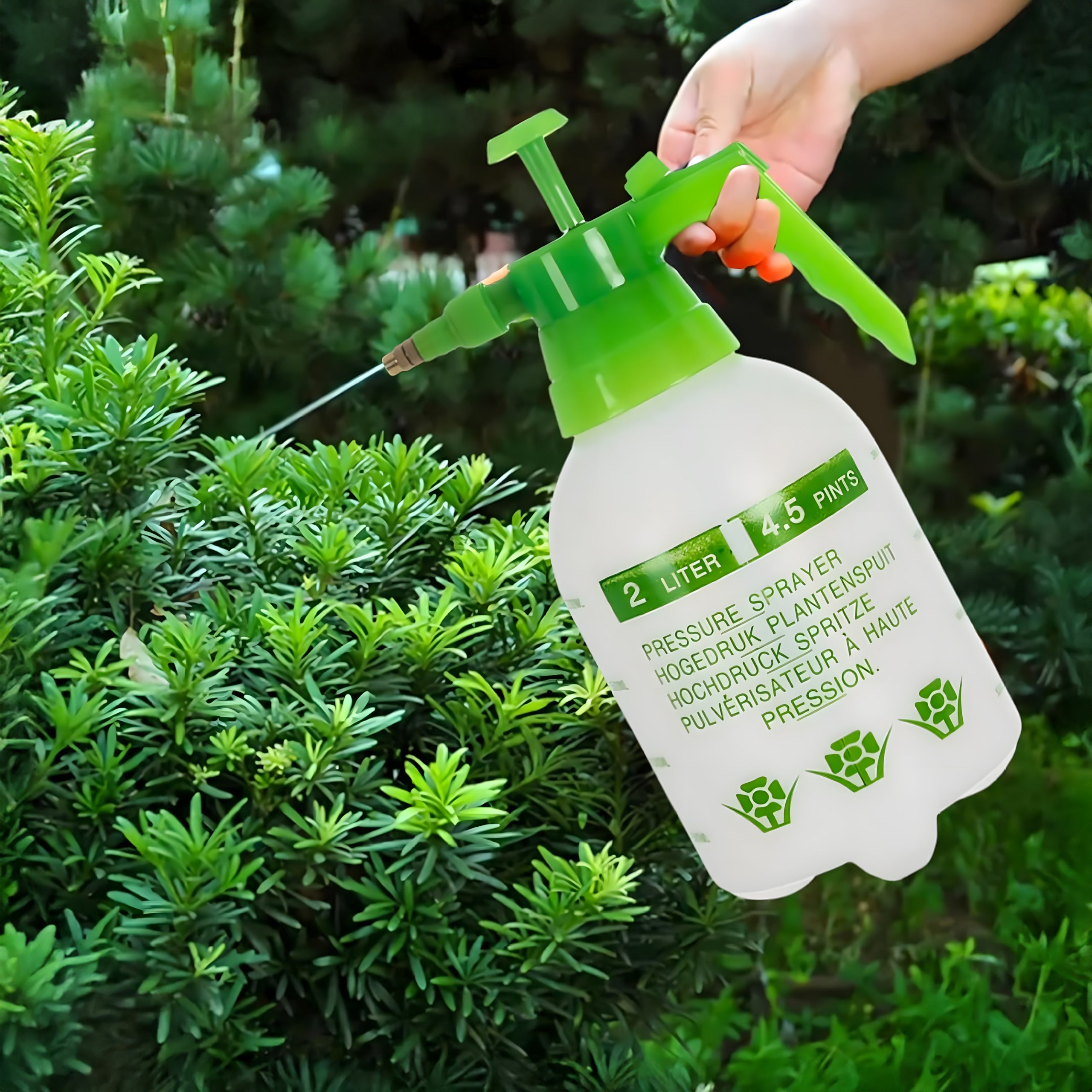 Manual Pressure Sprayer for Garden Home 2L Green