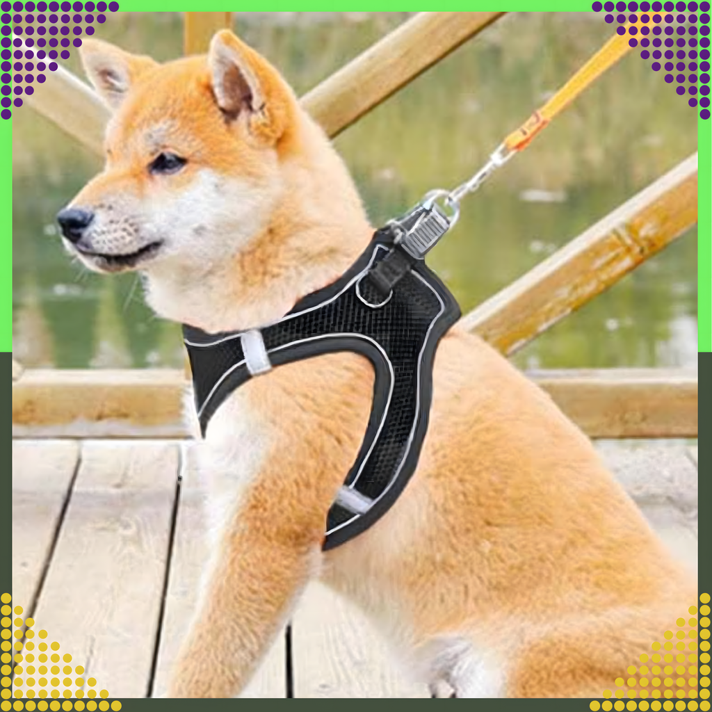 Tugevad, survevabad traksid, jalutusrihm väikestele koertele ja kassidele, vastupidav, suurus M