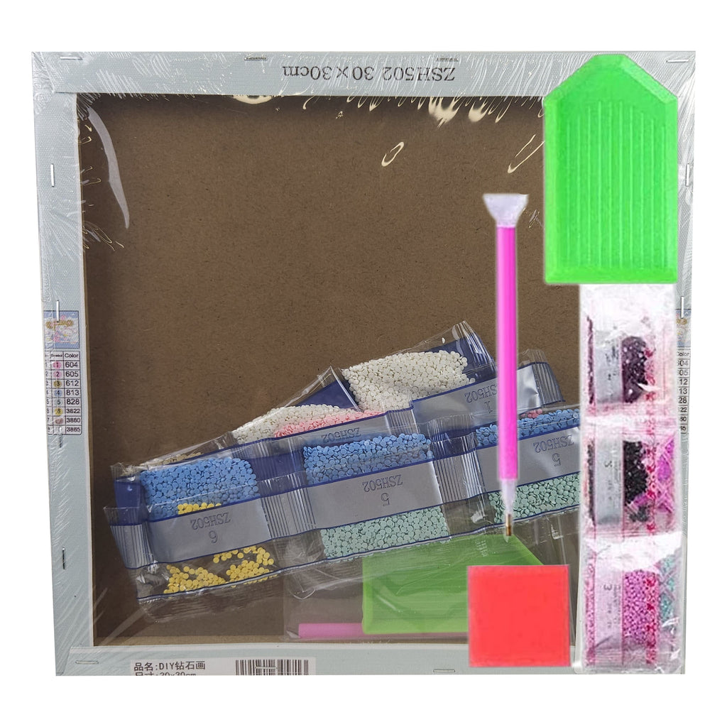 Teemantmosaiik 30x30cm Anime