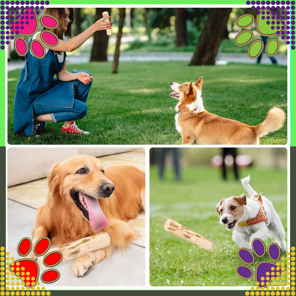 Puidust närimisleluga loomulik koertele, vastupidav mänguasi 20x3.5cm