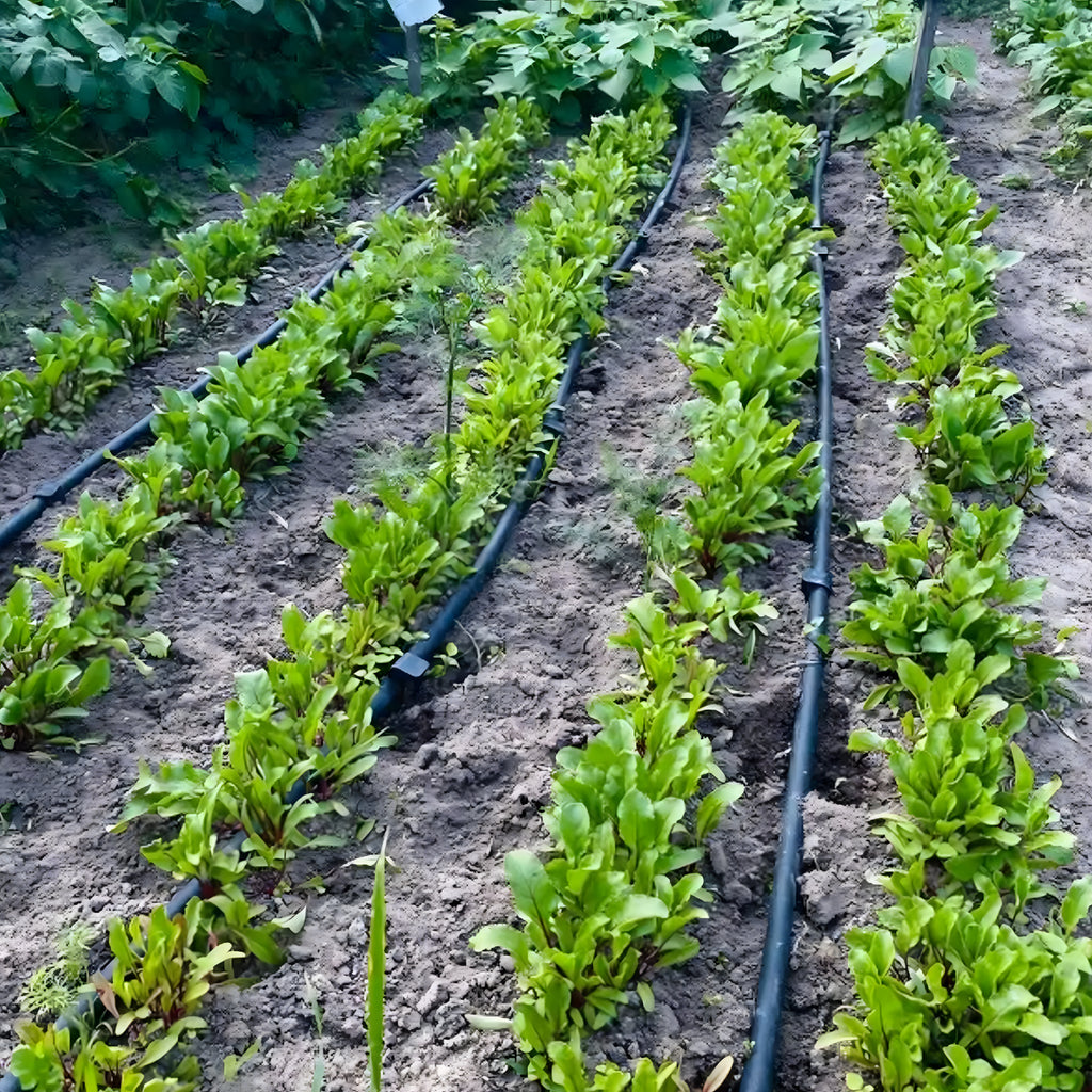 Tilkvoolik 33 cm Fi 16mm tilkniisutusvoolik 100 m