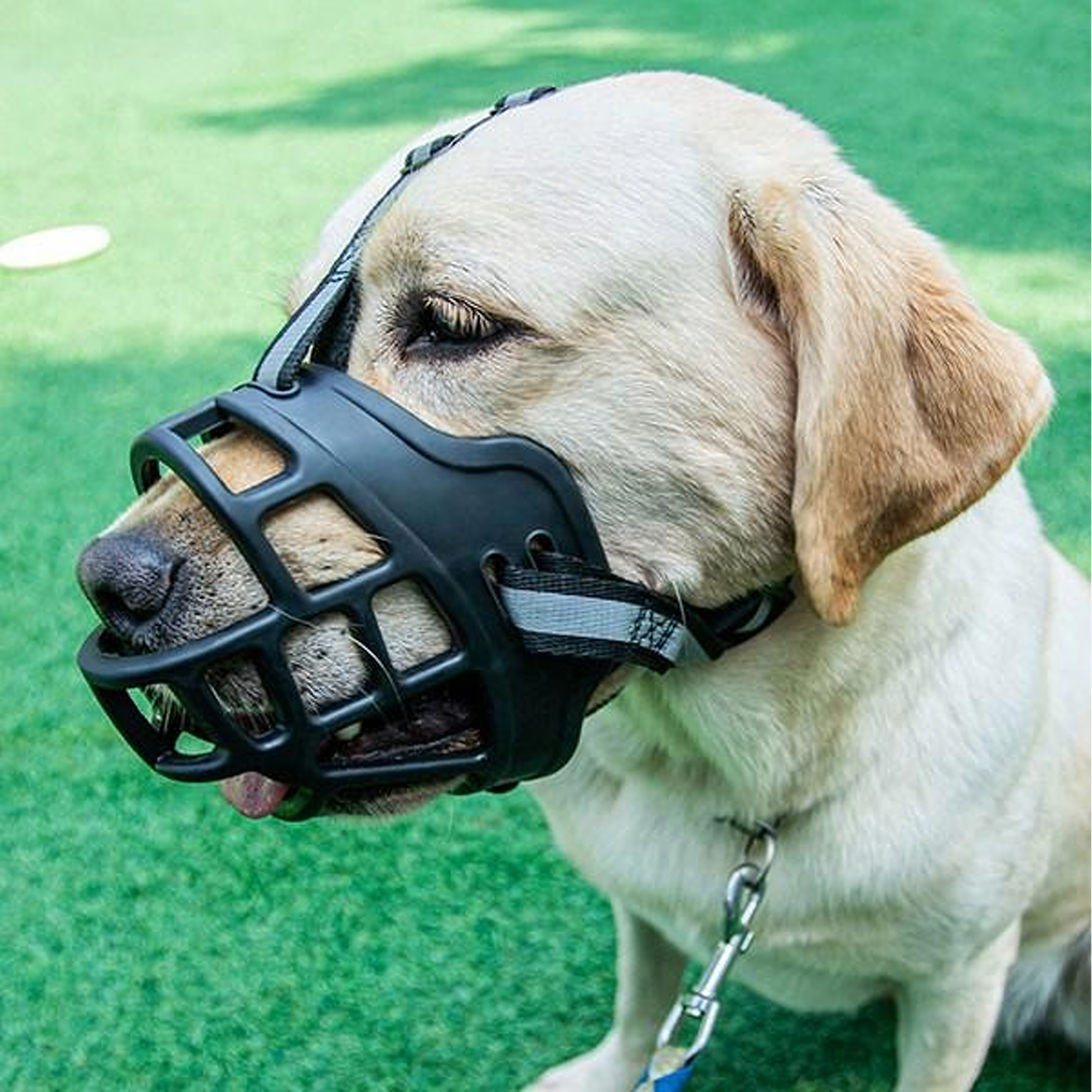 Füsioloogiline koeramuser kummist reguleeritav helkiv pehme 31-35 cm