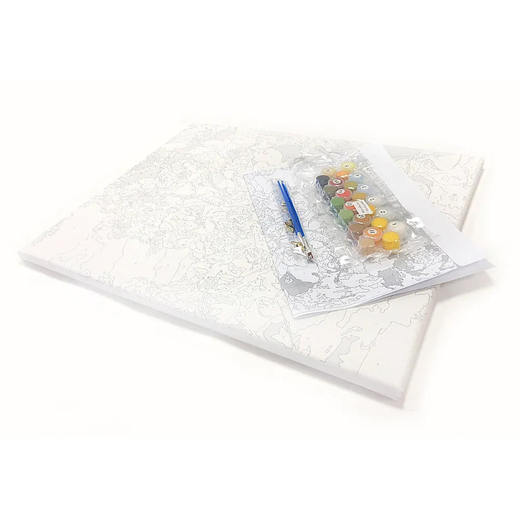 Numbrite järgi maalimise lõuend raamiga, isetegemise komplekt, pintslid, värvid, 30x40