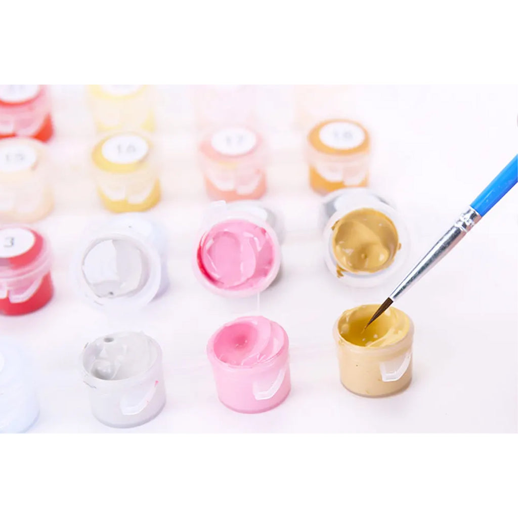 Numbrite järgi maalimise pilt raamiga DIY komplekt pintslid värv lõuend 40x50