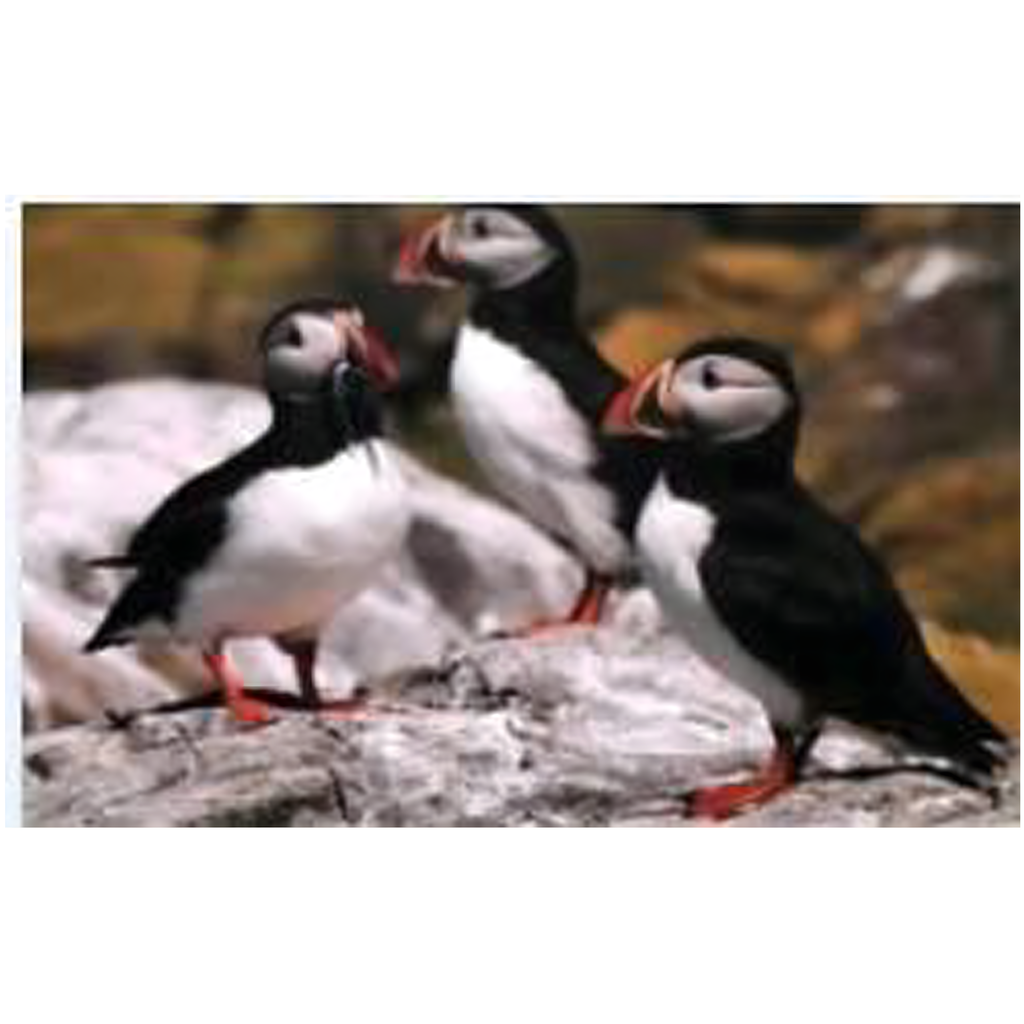 SUUR TEEMANTTIKAND 120x60 Teemantmaal Mosaiik XXL KOMPLEKT