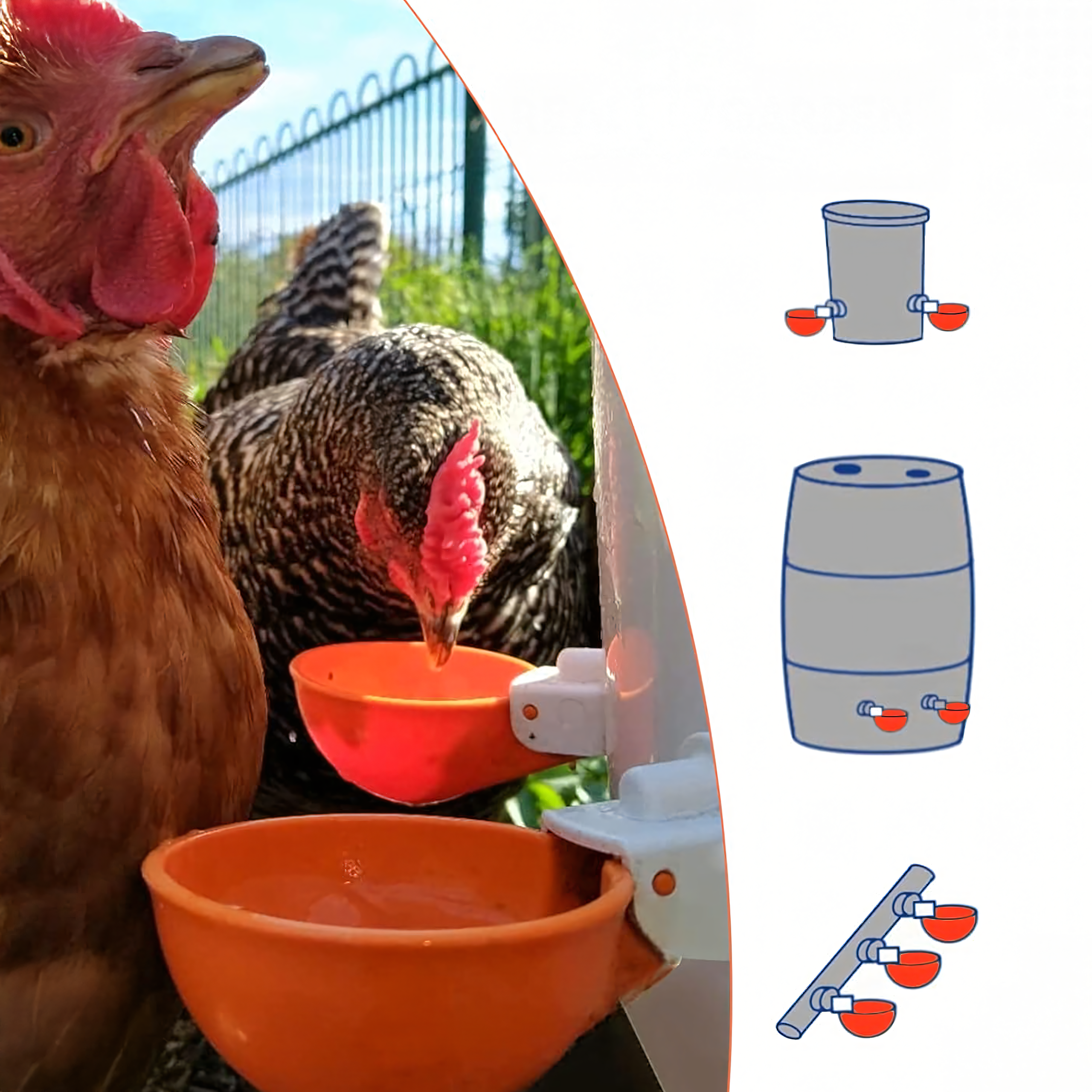 Automaatjooturite komplekt kanadele, partidele ja teistele lindudele, 5 tk RC-K-1425