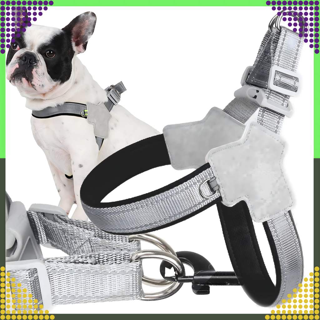 Tugevad, survevabad traksid, jalutusrihm väikestele koertele ja kassidele, suurus: M