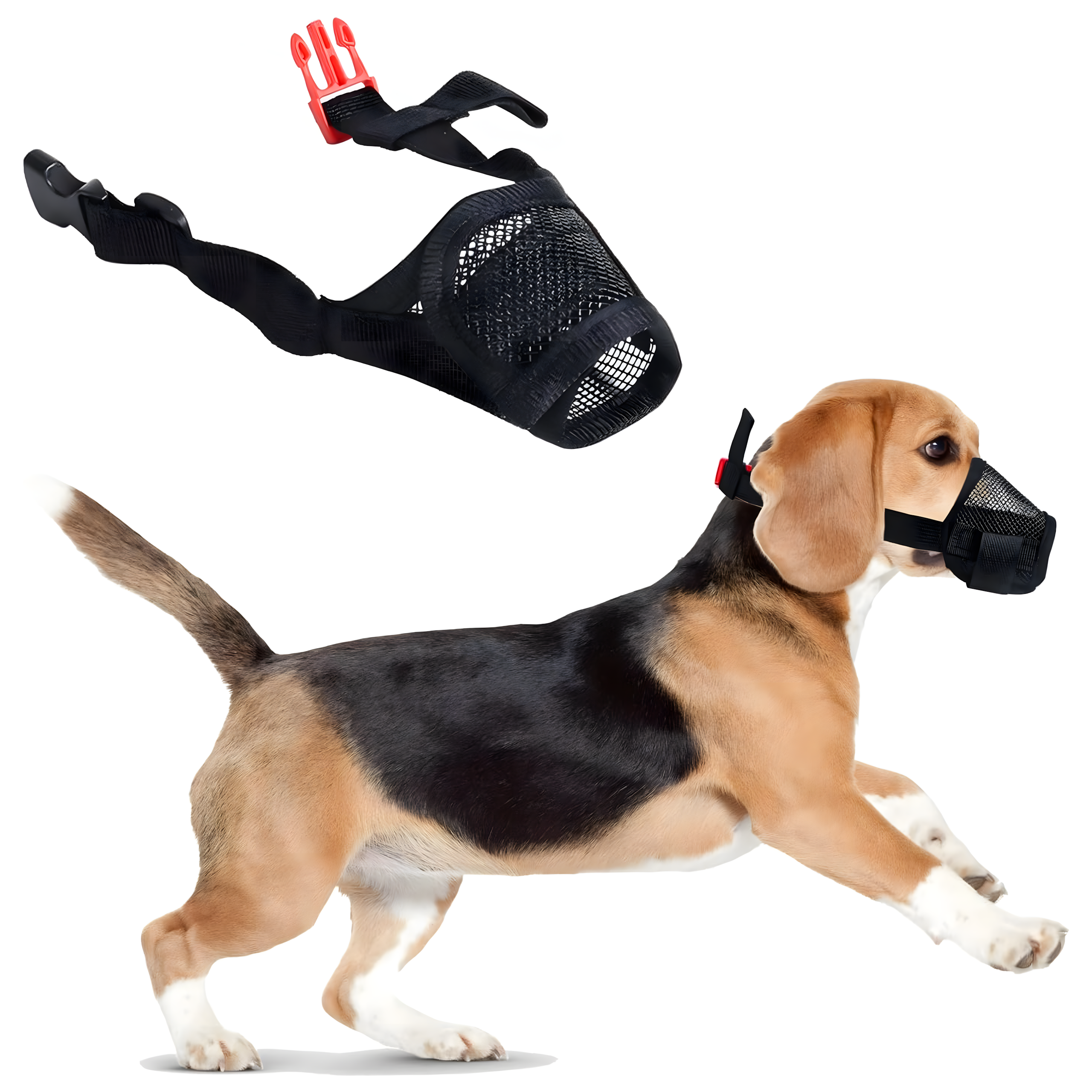 Materjalist koeramuser võrguga, füsioloogiline, ohutu nailon XL 13-15 cm