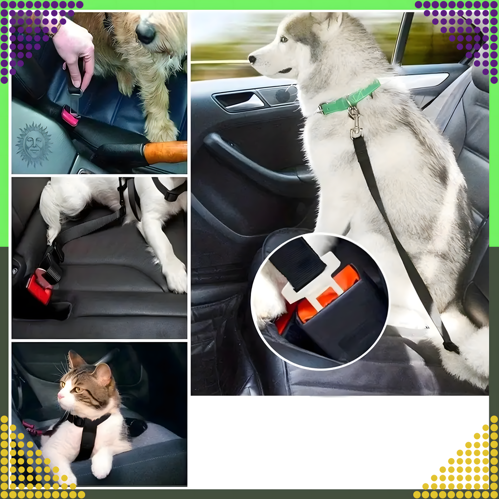 Turvavöö koerale ja kassile autosse, reguleeritav rihm autole