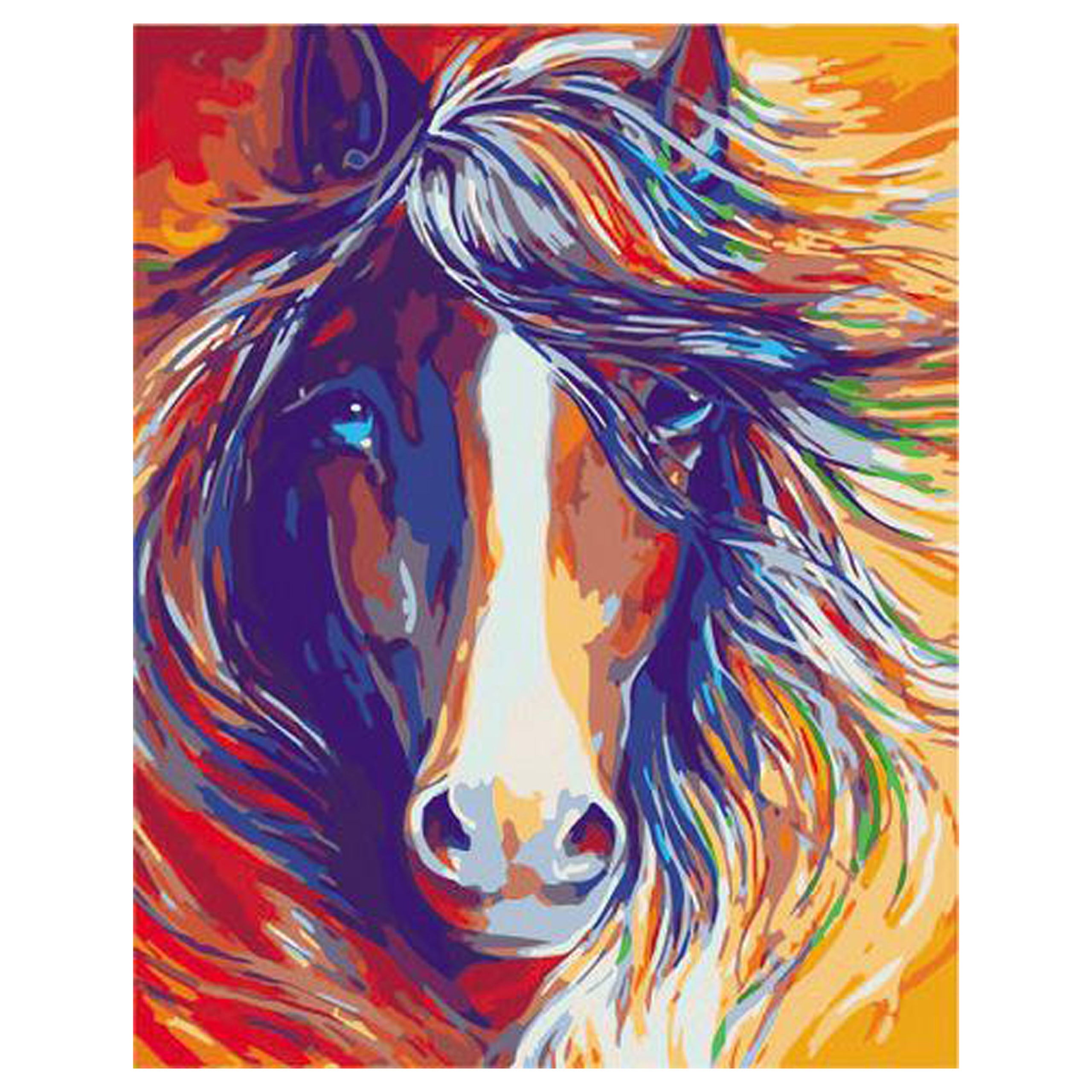 Numbrite järgi maalimise lõuend raamiga isetegemise komplekt pintslid värvid lõuend 30x40