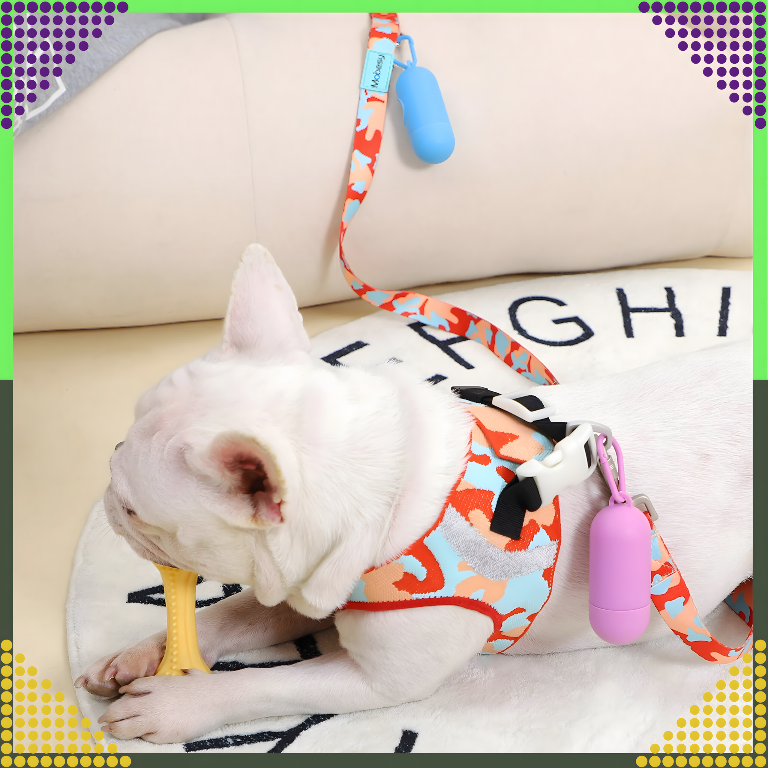 Konteinerkarp koerakaka kottide jaoks, universaalne