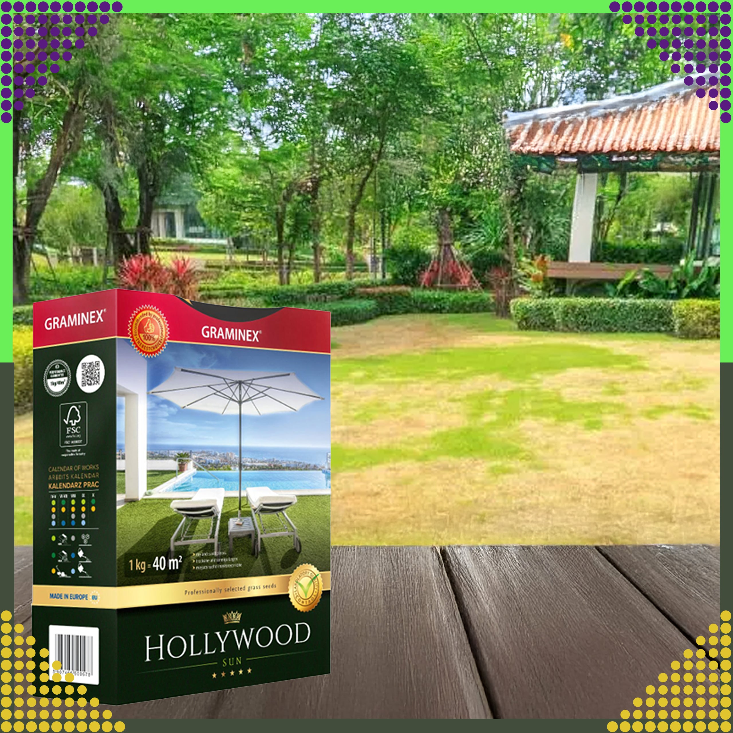 Premium Grass Seed Mix HOLLYWOOD 1kg for Sunny Dry Areas
