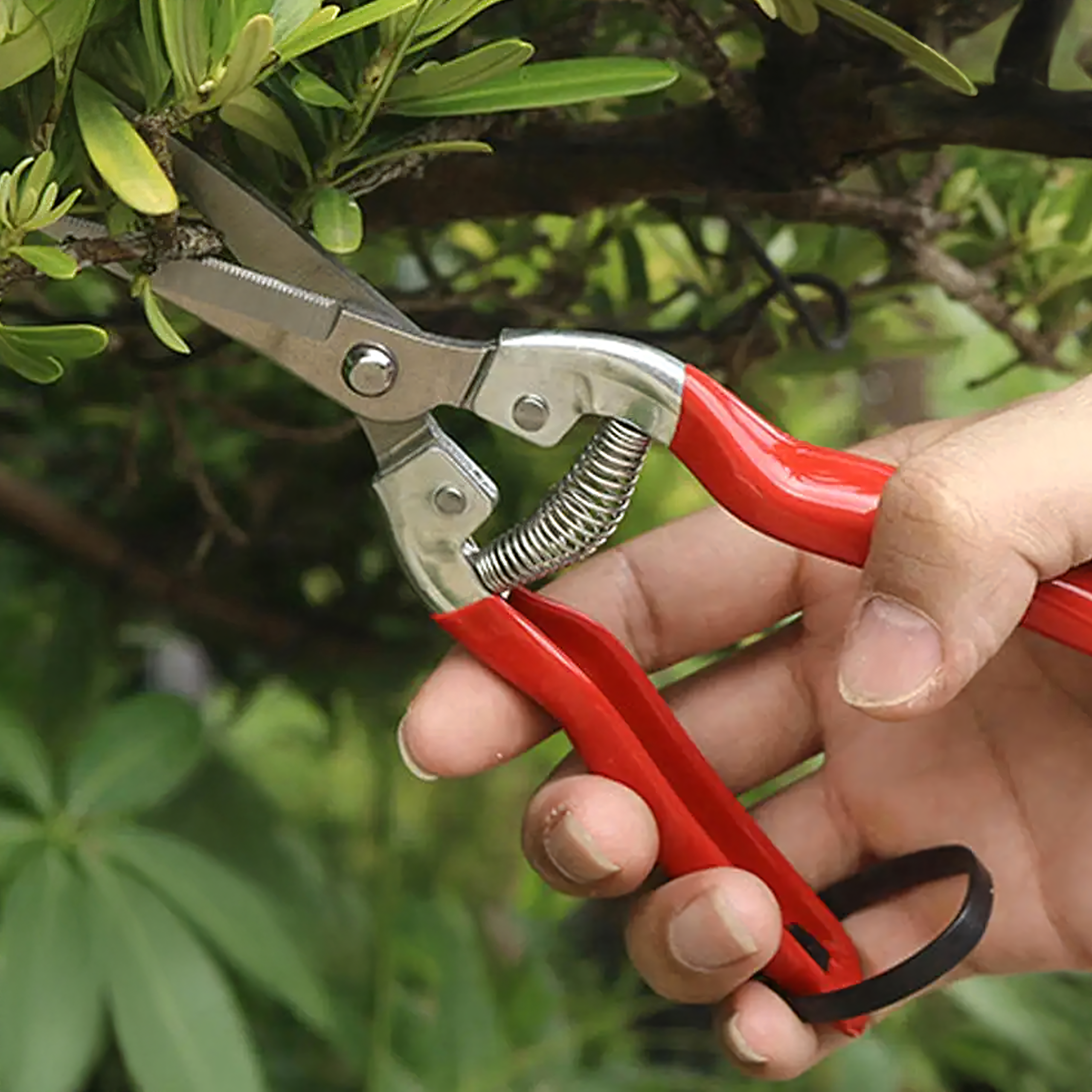 Single-Handed Garden Pruning Shears for Shrubs and Branches