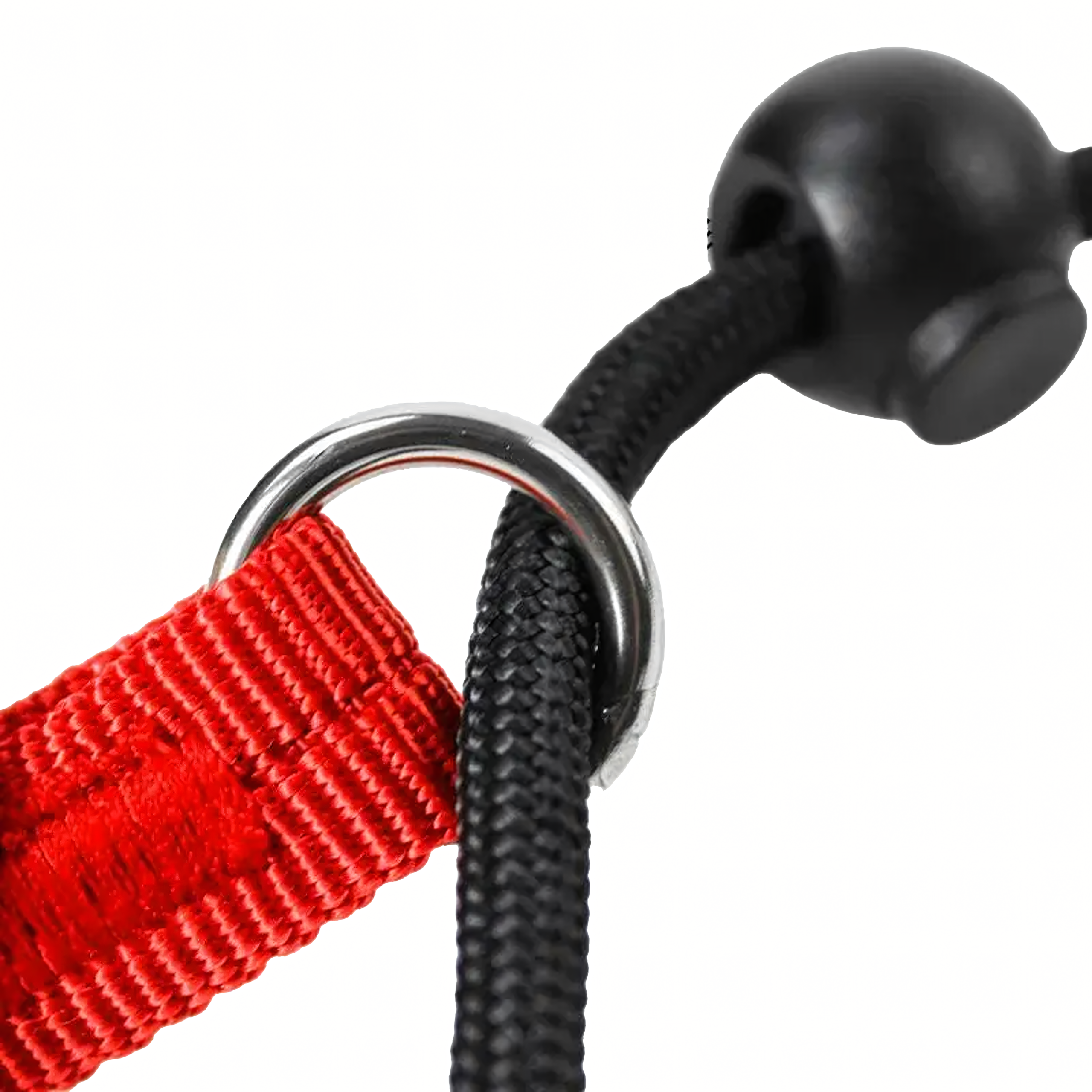 Nailonist tõmbamisrihm 140 cm jalutamiseks ja treeninguks õppimiseks