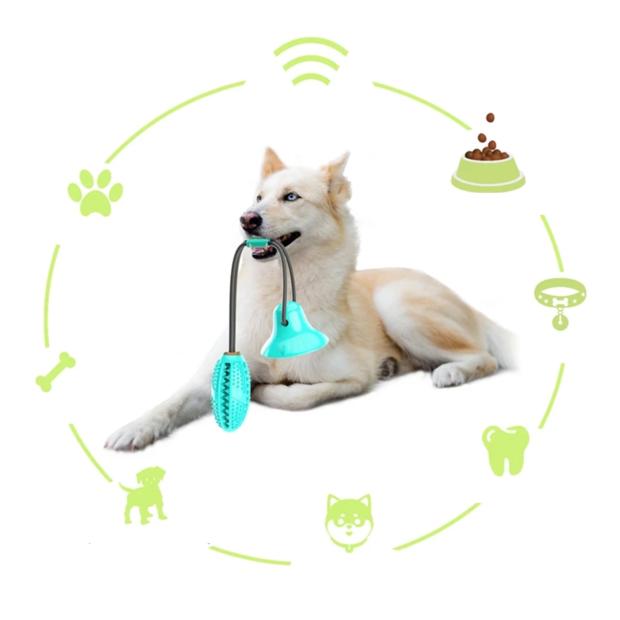 Interaktiivne koera maiusemänguasi aardega iminapaga