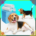 288 x XL Dog Training Pee Pads 40x60cm Thick 50 pcs