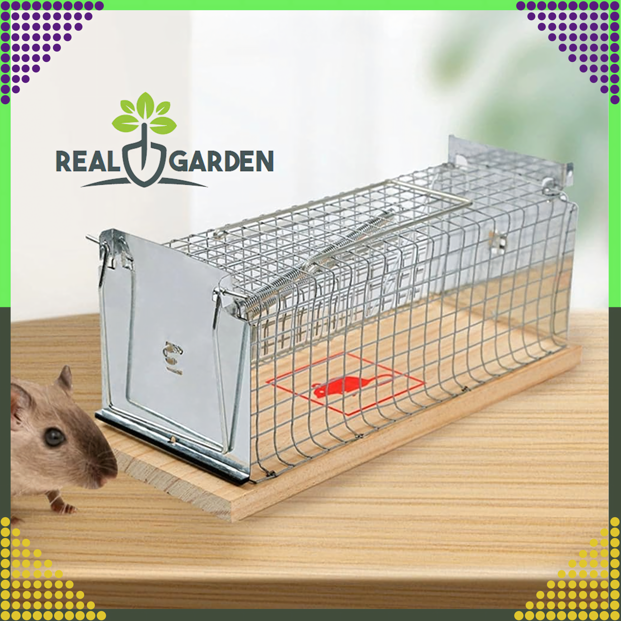 2x humanitaarne eluspüünis rottidele ja närilistele XXL