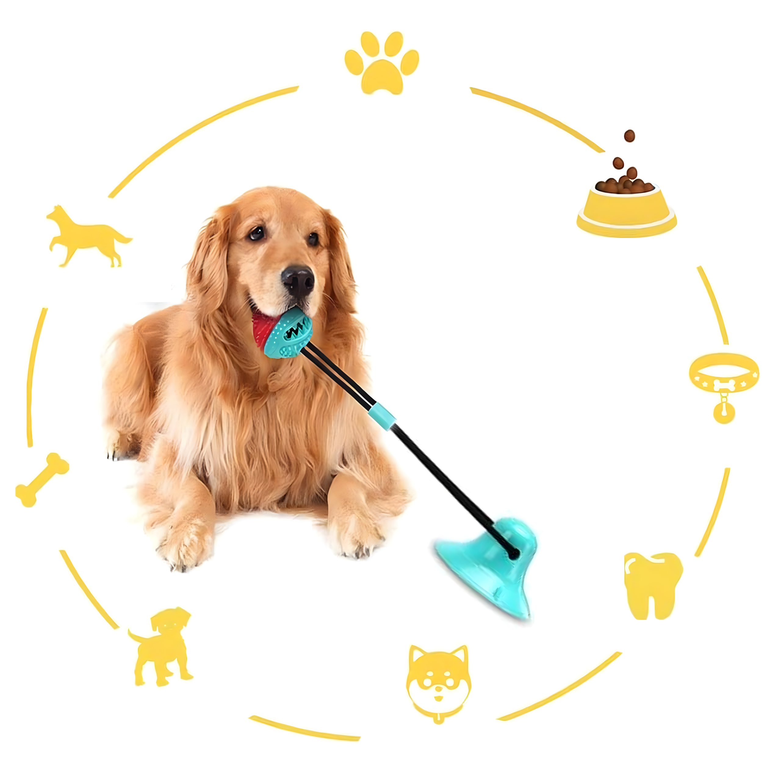 MAIUSEGA MÄNGUASI INTERAKTIIVNE KOERATOIT, PALL IMIKUPAGA, NÄRIMISMÄNGUASI